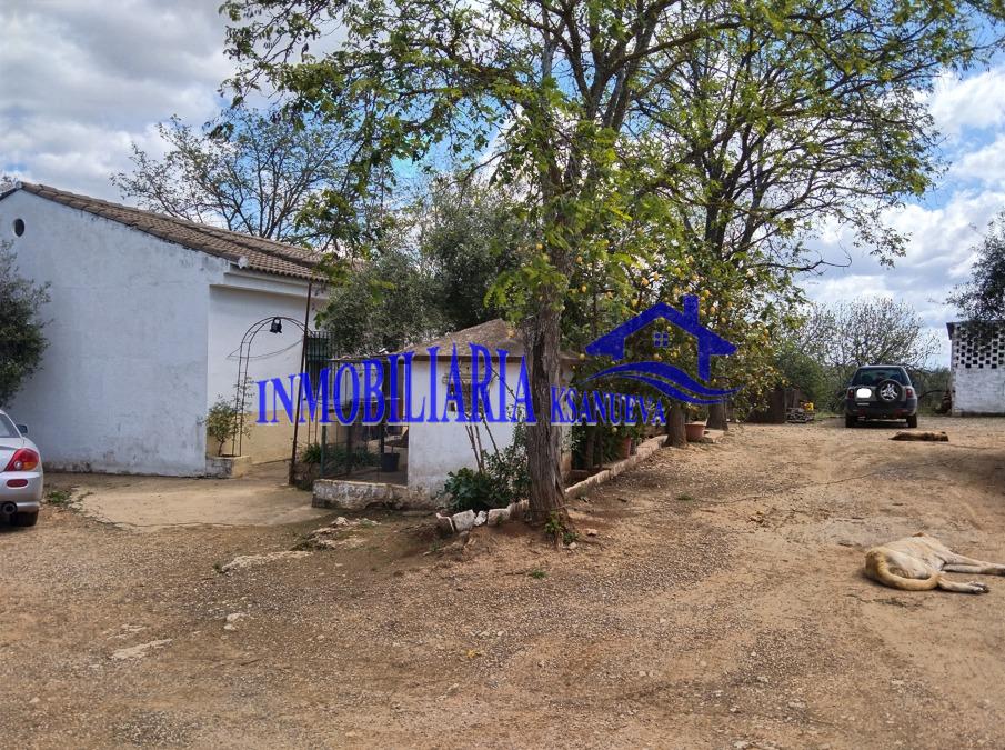 Venta de chalet en Córdoba