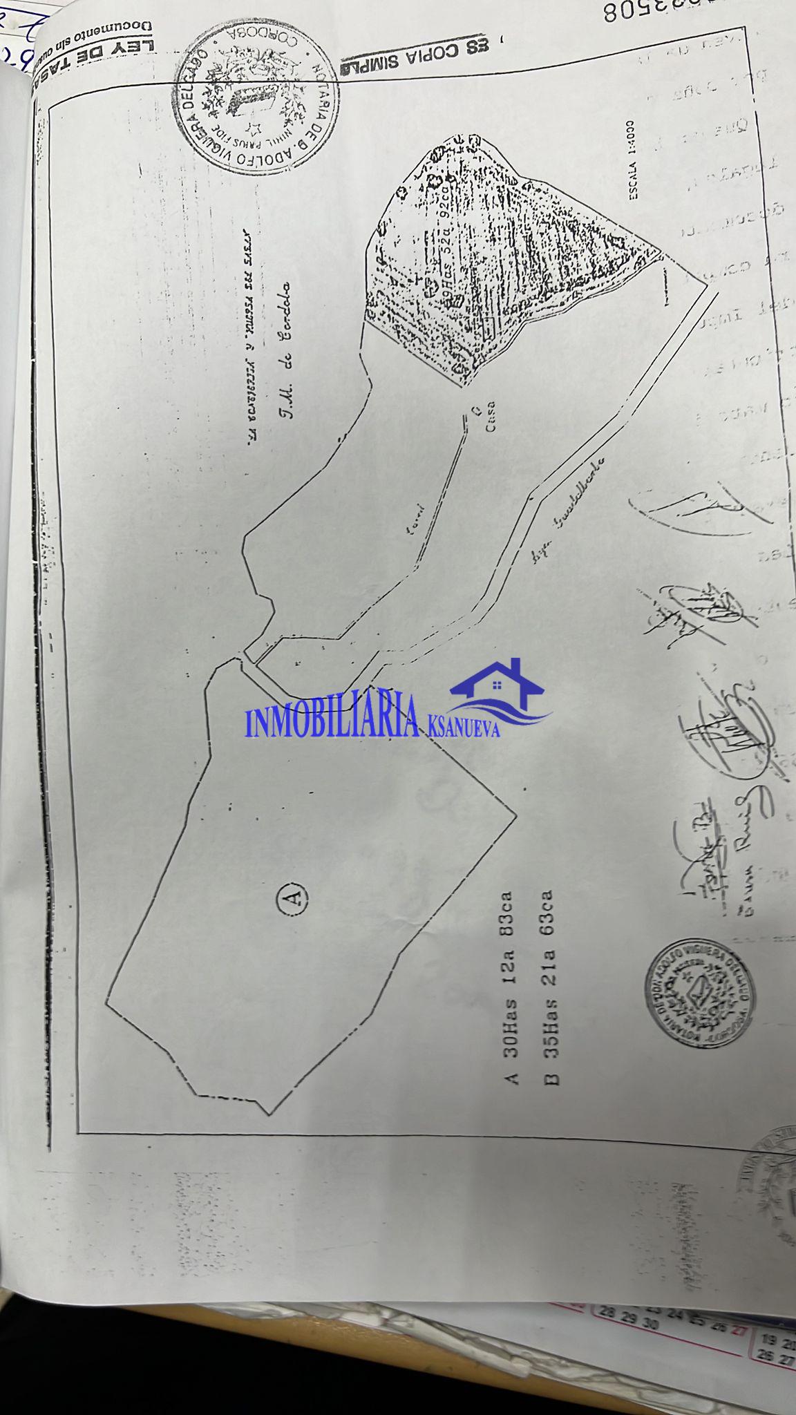 For sale of land in Córdoba