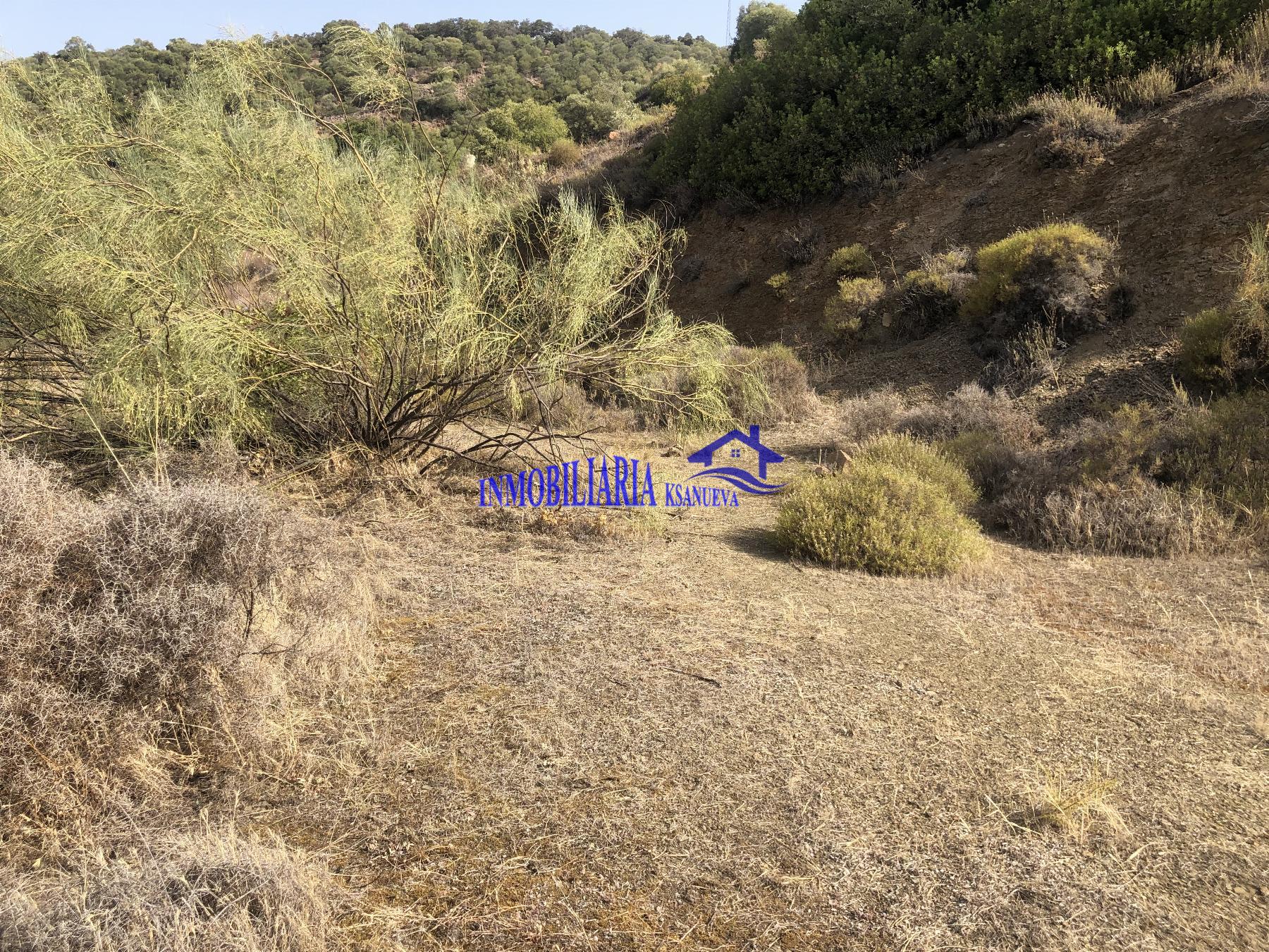 For sale of land in Córdoba