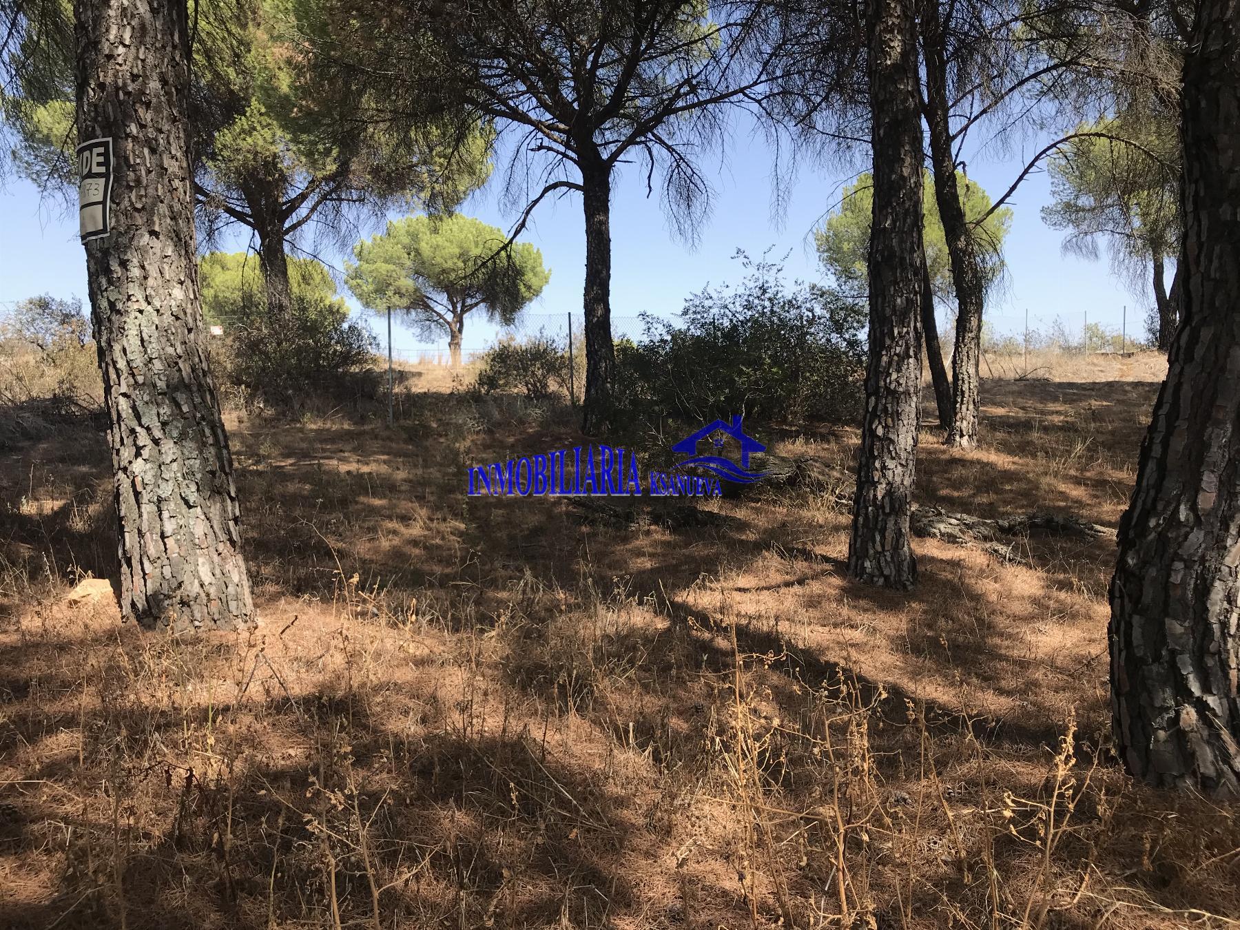 For sale of land in Córdoba