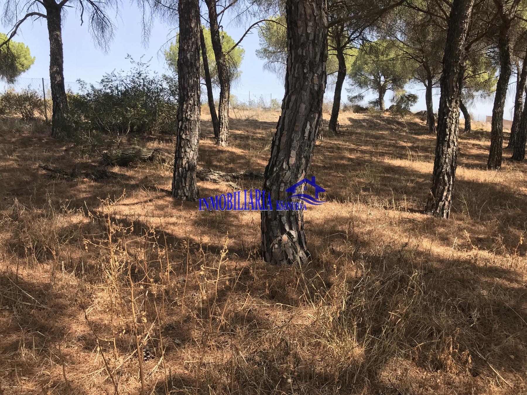 For sale of land in Córdoba
