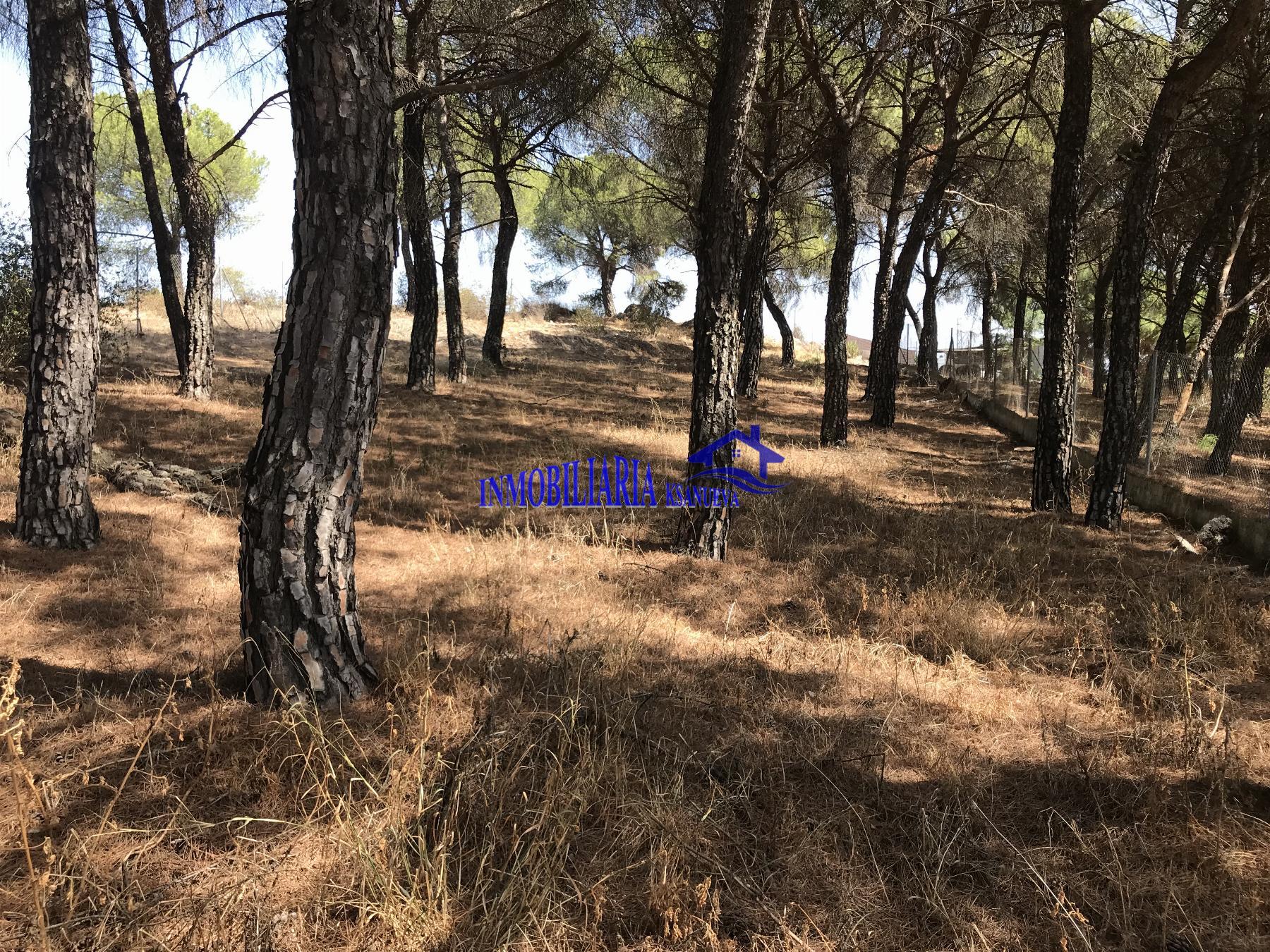 For sale of land in Córdoba