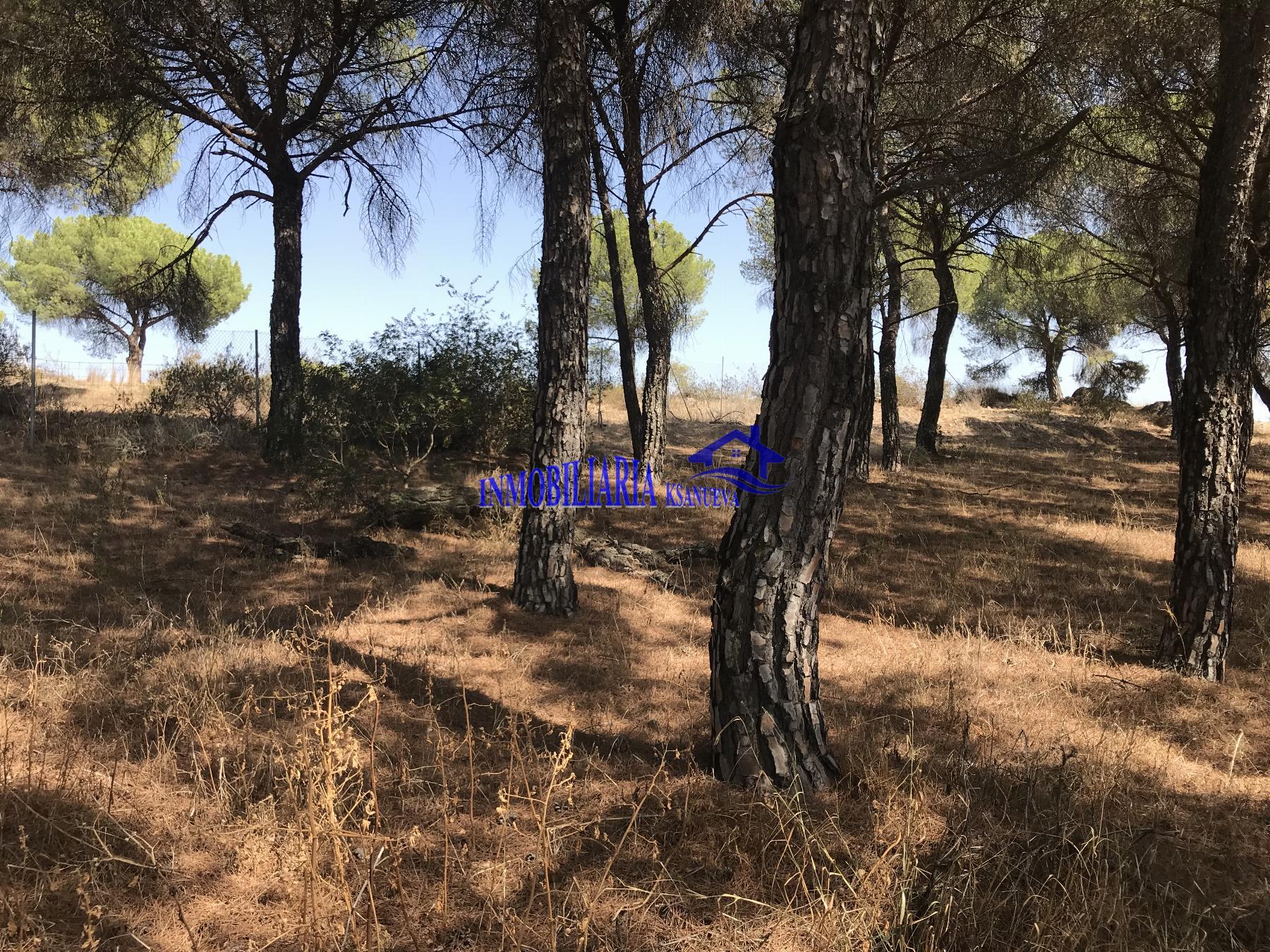 For sale of land in Córdoba
