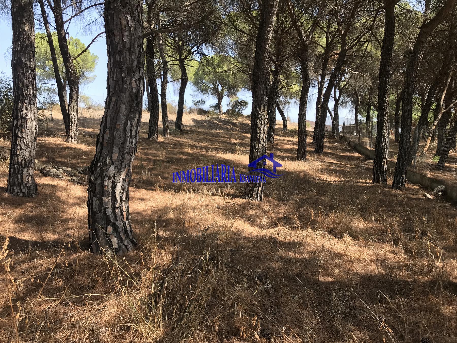 For sale of land in Córdoba