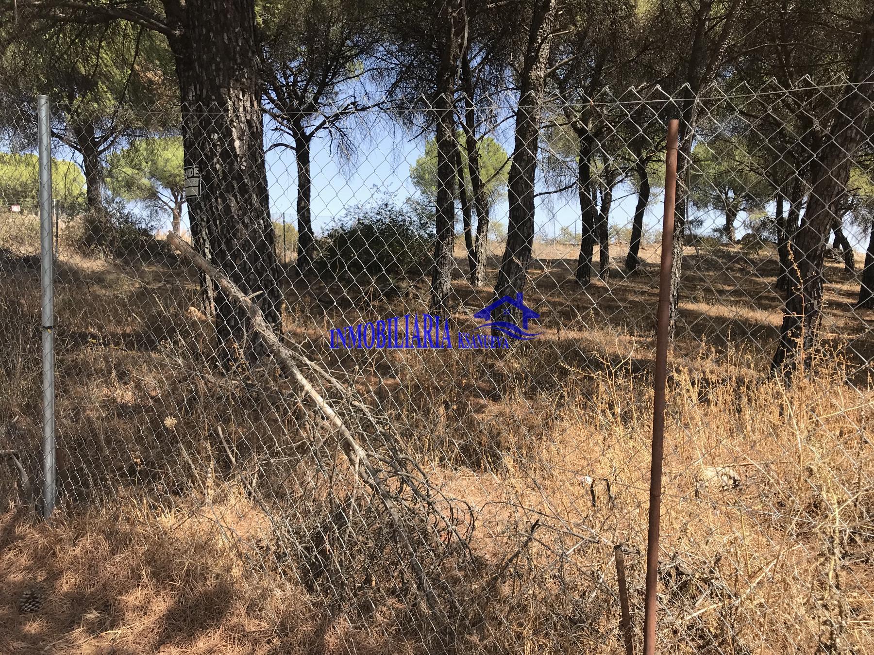 For sale of land in Córdoba