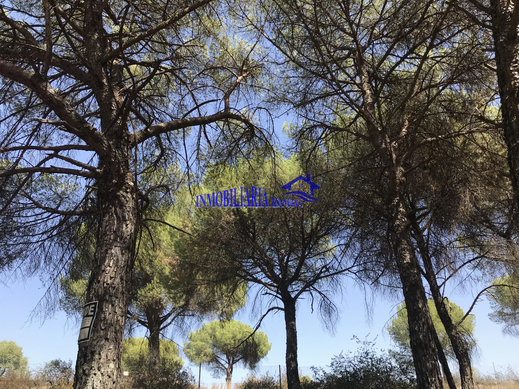 For sale of land in Córdoba
