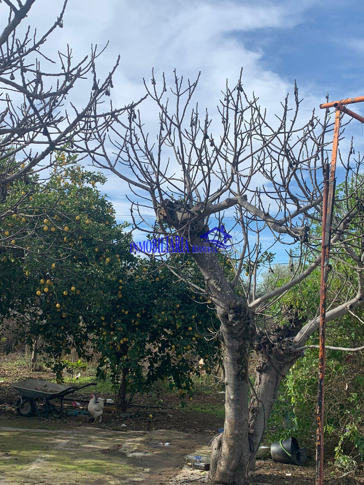 For sale of chalet in Córdoba