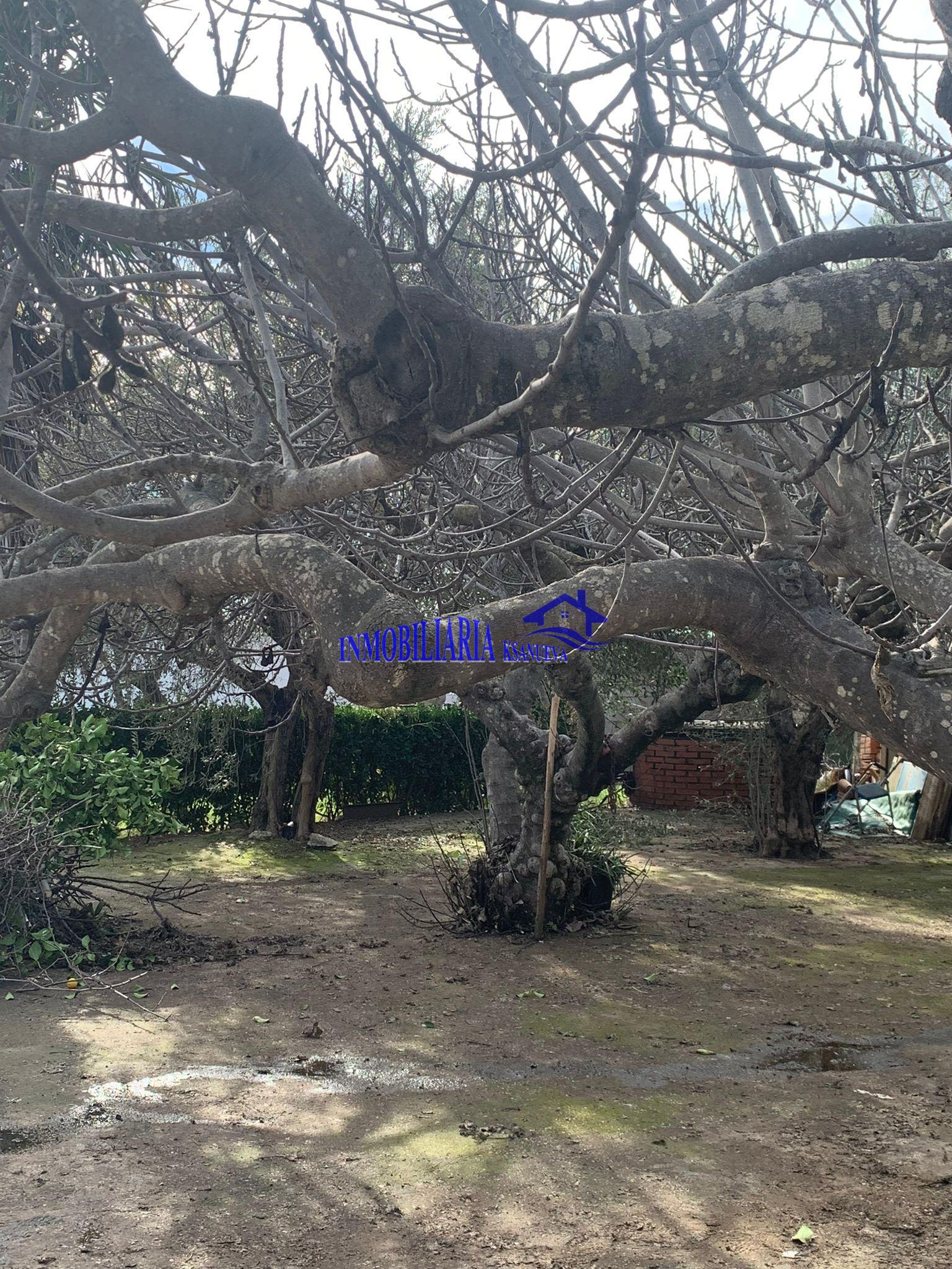 For sale of chalet in Córdoba