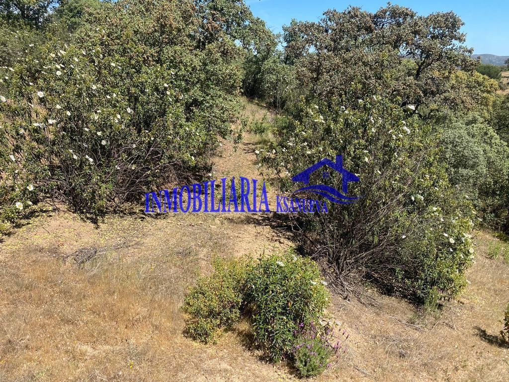 For sale of rural property in Córdoba