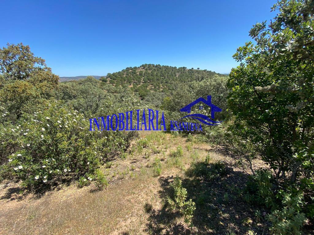 For sale of rural property in Córdoba