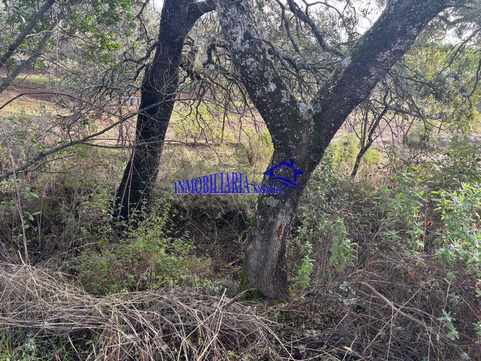 For sale of rural property in Córdoba