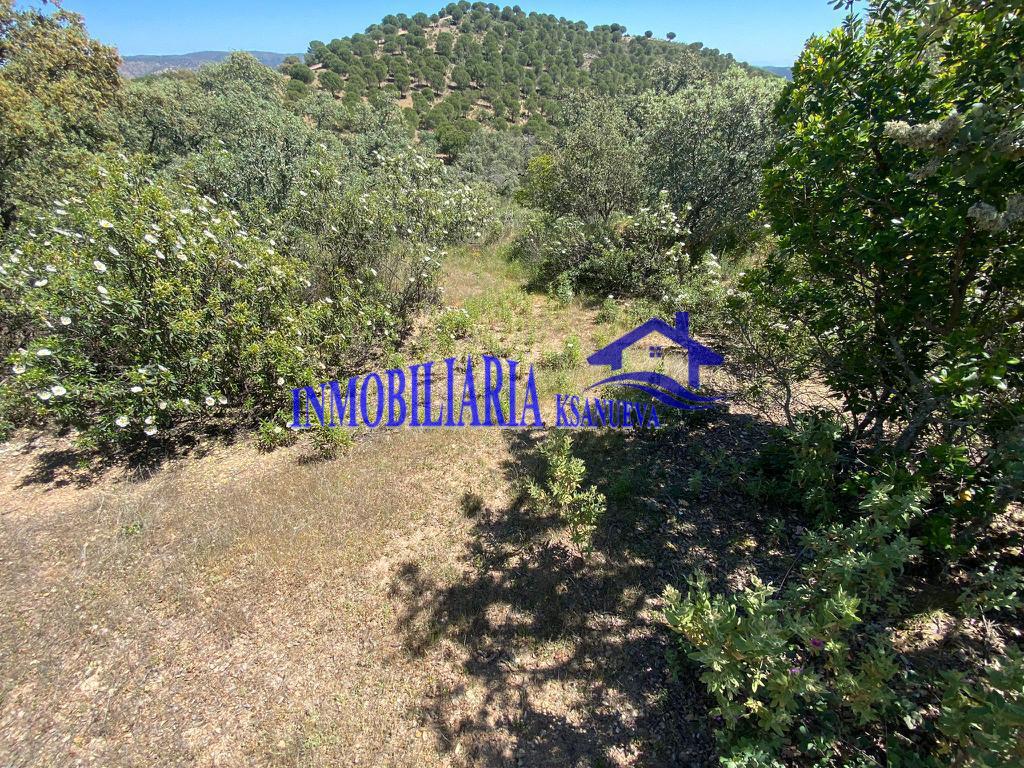 For sale of rural property in Córdoba