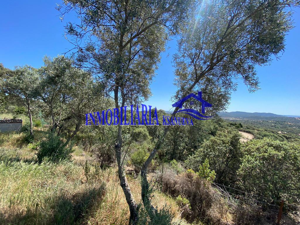 For sale of rural property in Córdoba