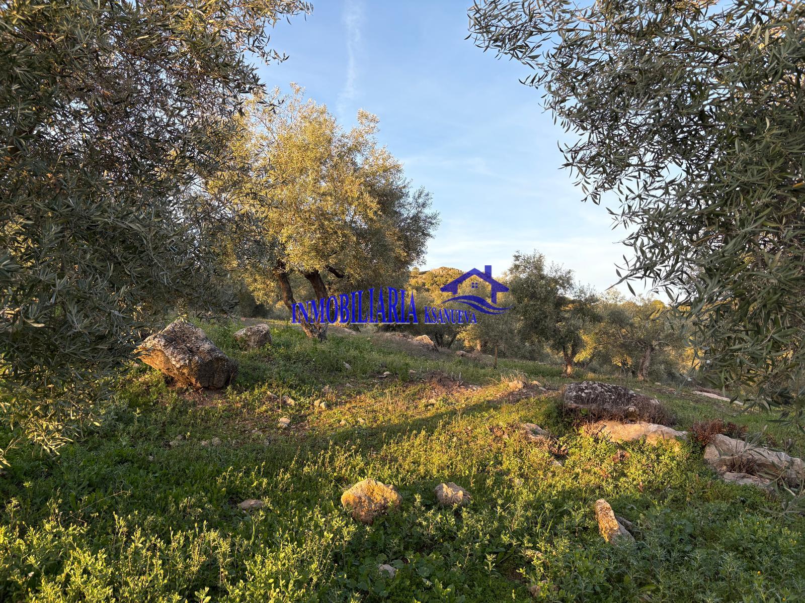 For sale of rural property in Córdoba