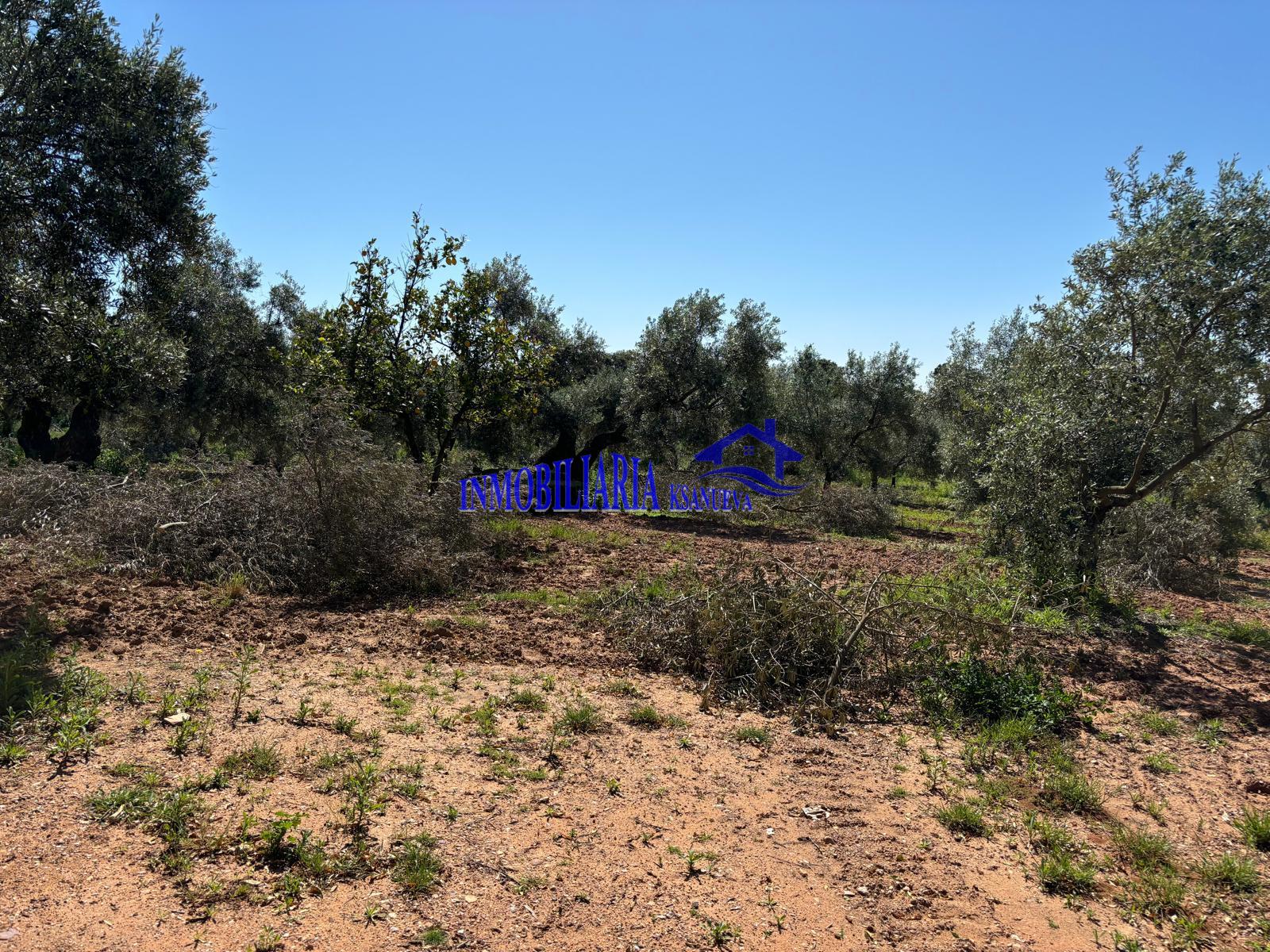 For sale of rural property in Córdoba