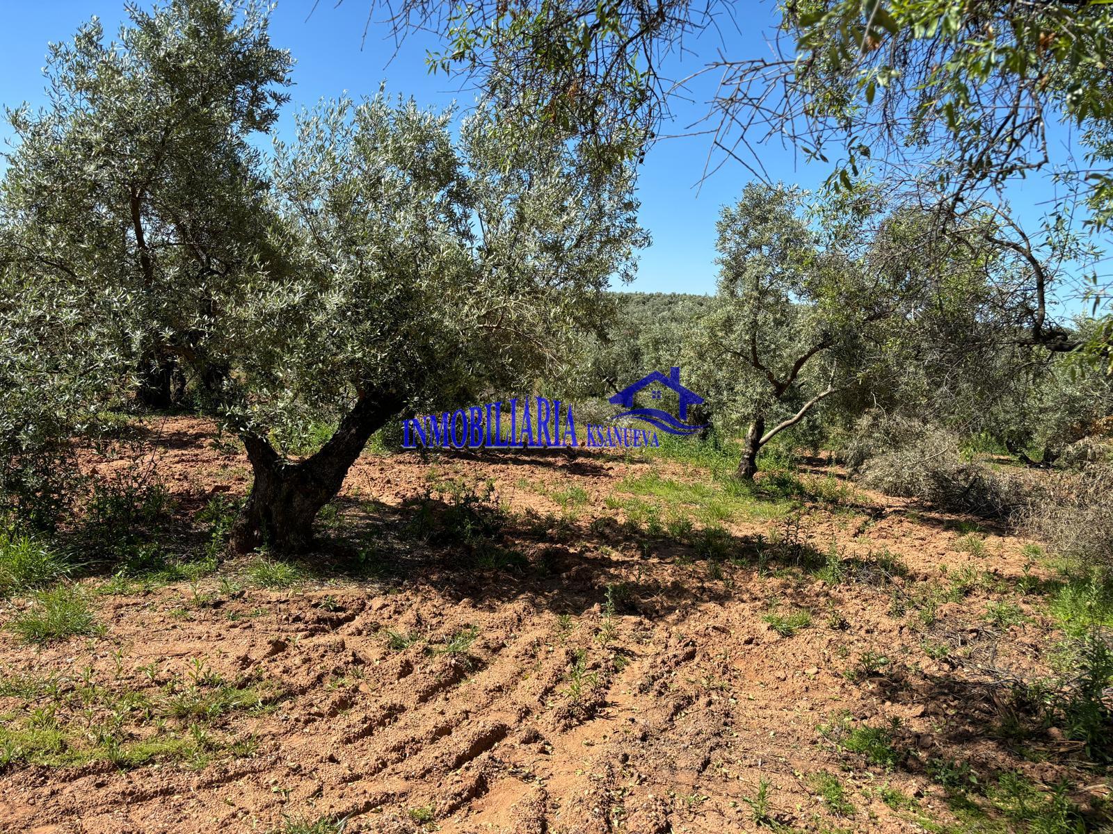 For sale of rural property in Córdoba