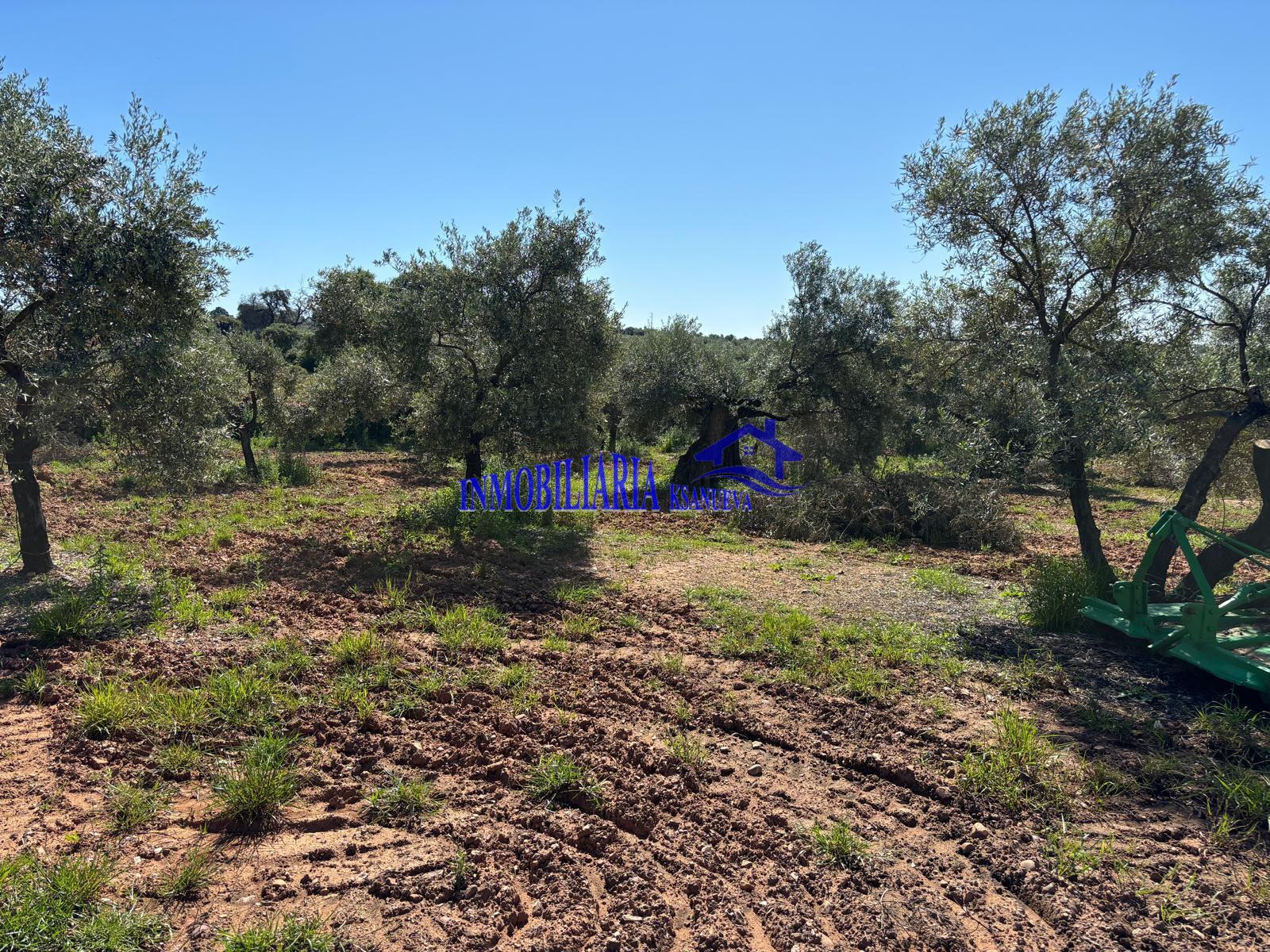 For sale of rural property in Córdoba