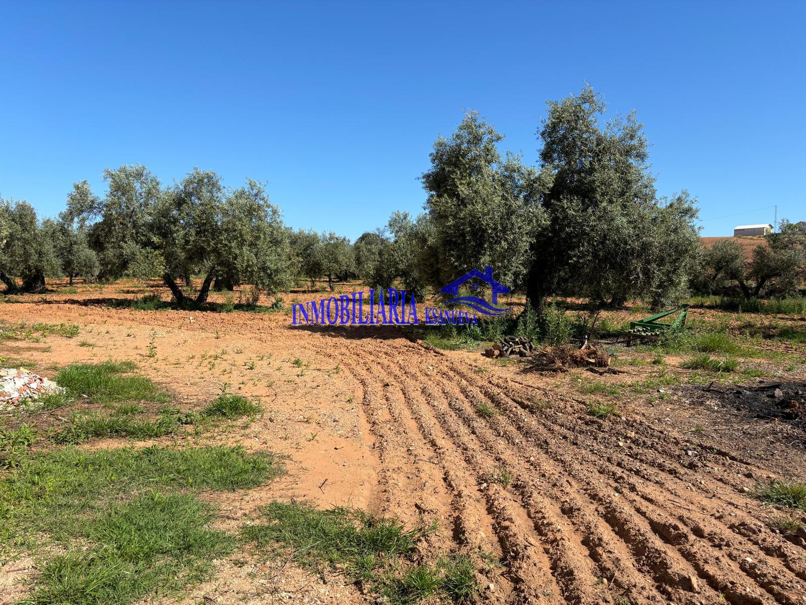 For sale of rural property in Córdoba