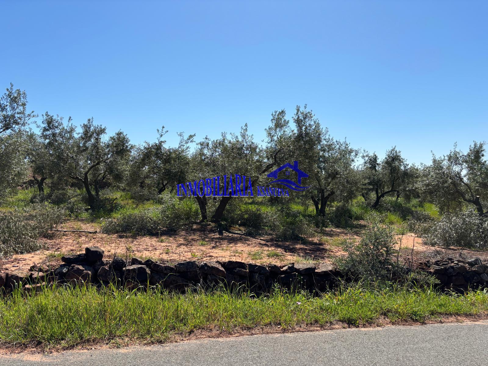 For sale of rural property in Córdoba
