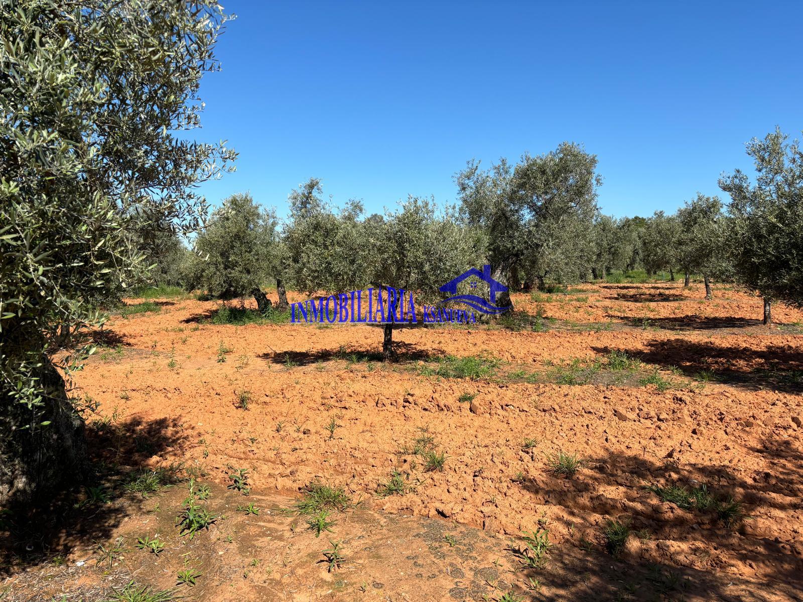 For sale of rural property in Córdoba
