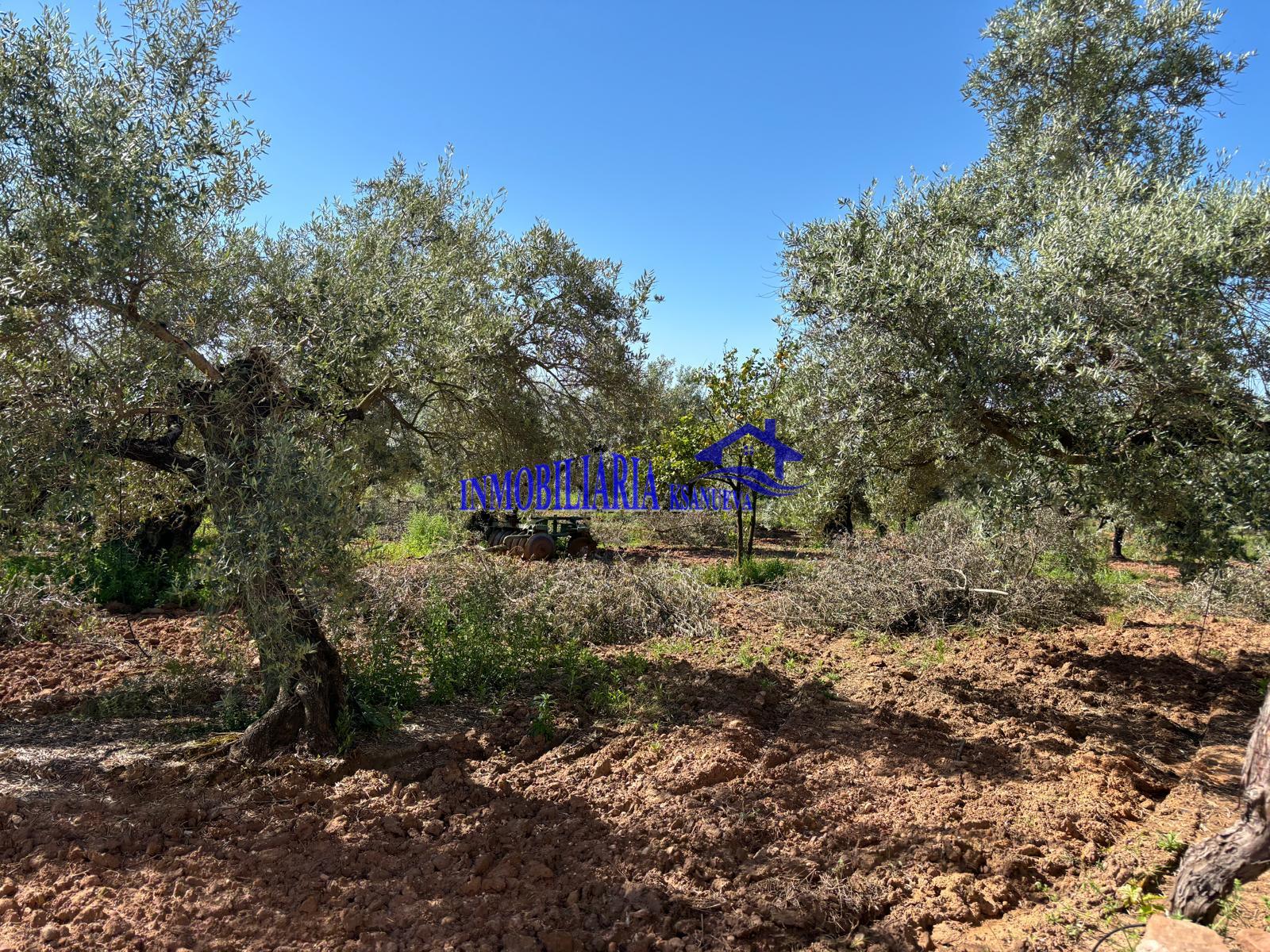 For sale of rural property in Córdoba