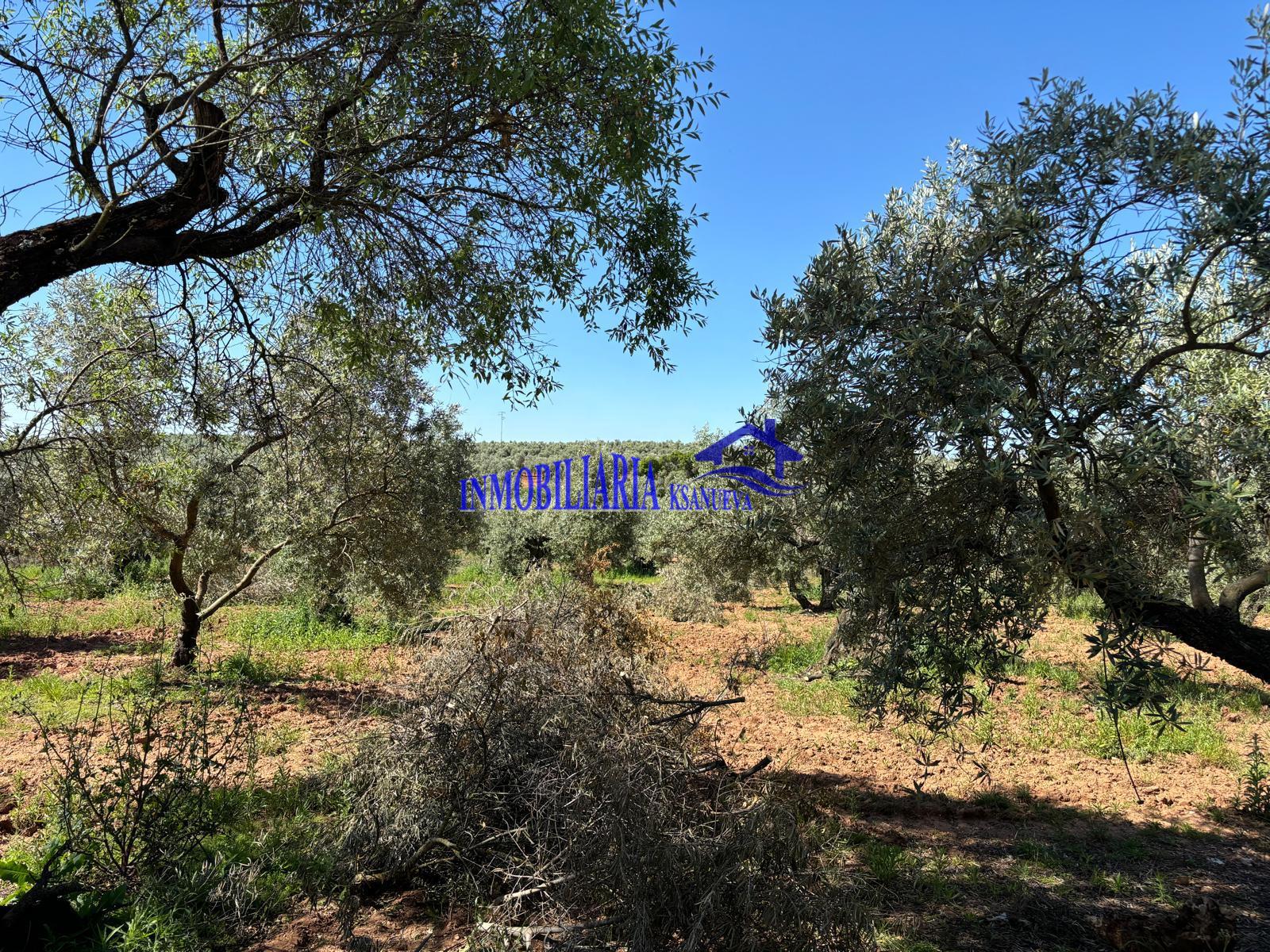 For sale of rural property in Córdoba