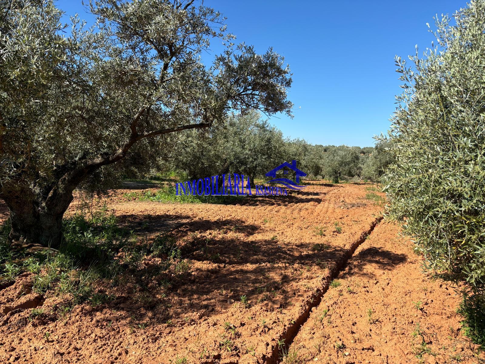 For sale of rural property in Córdoba