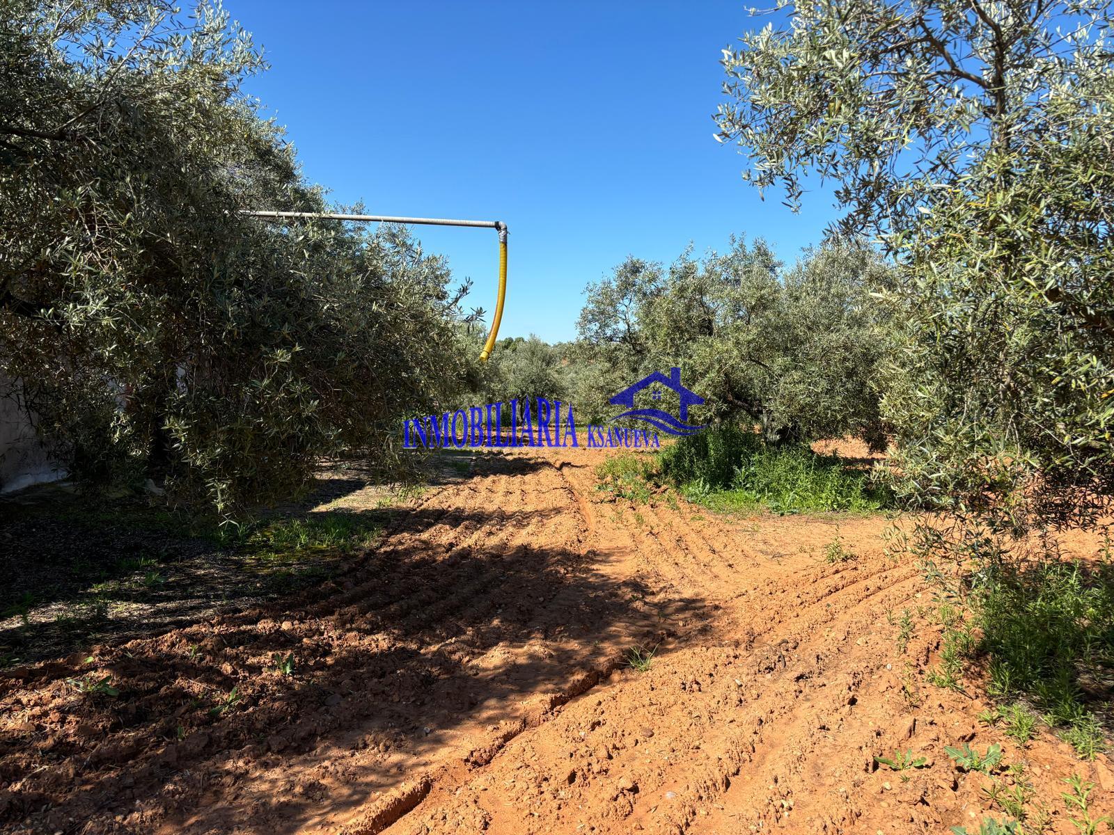 For sale of rural property in Córdoba