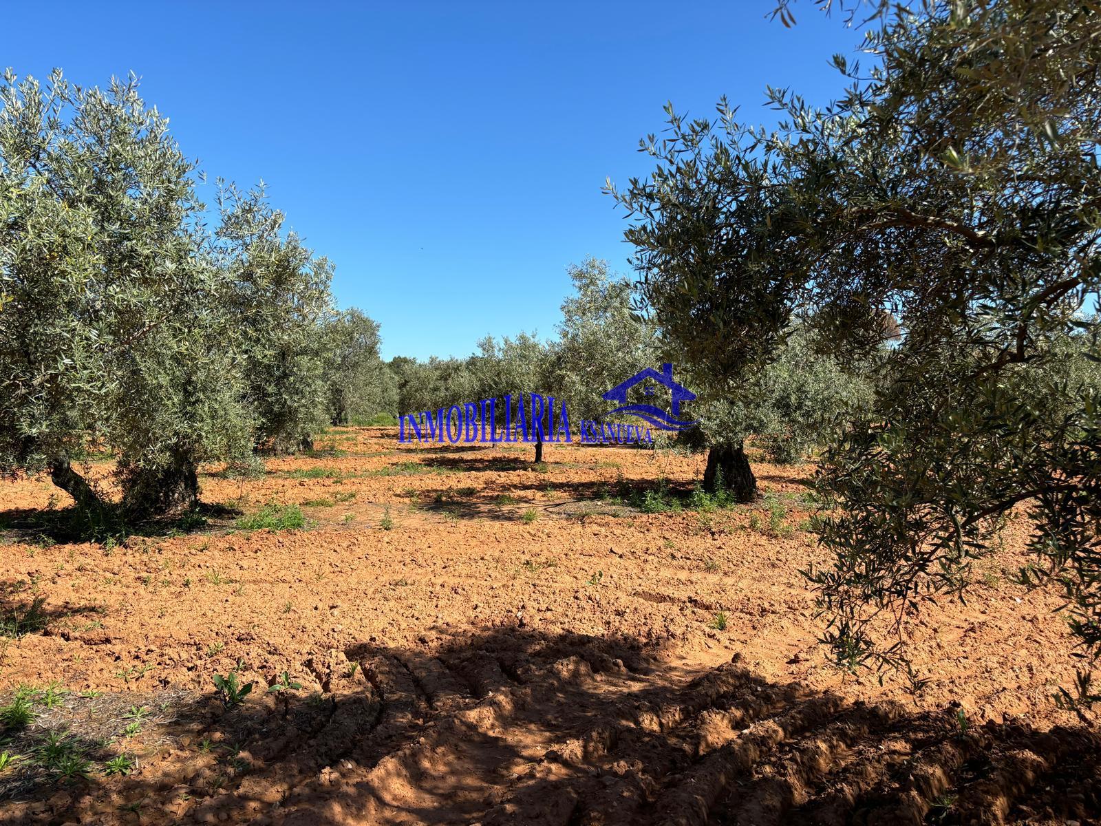 For sale of rural property in Córdoba