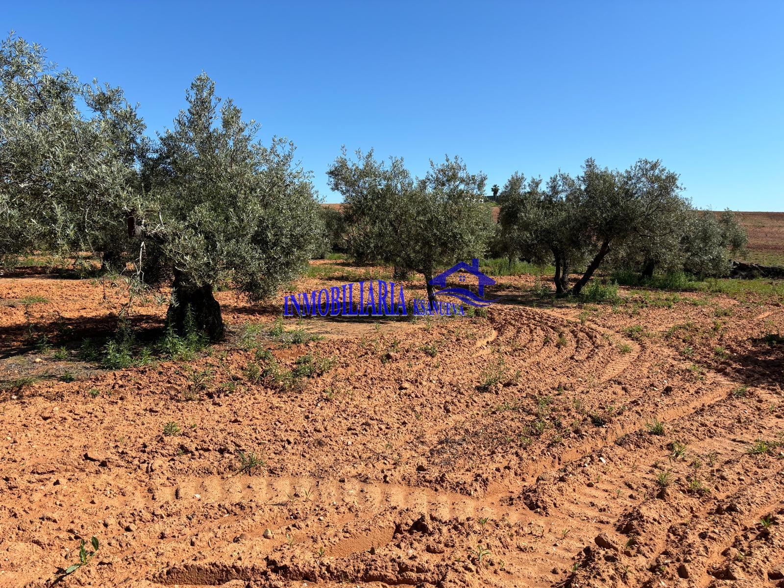 For sale of rural property in Córdoba