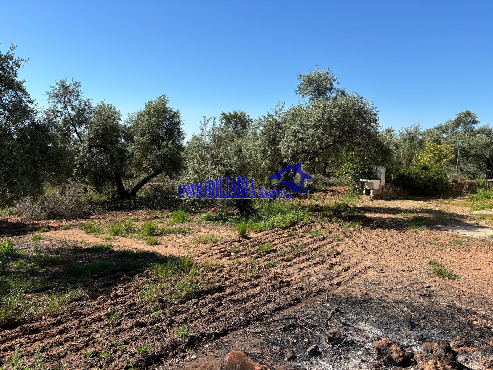 For sale of rural property in Córdoba