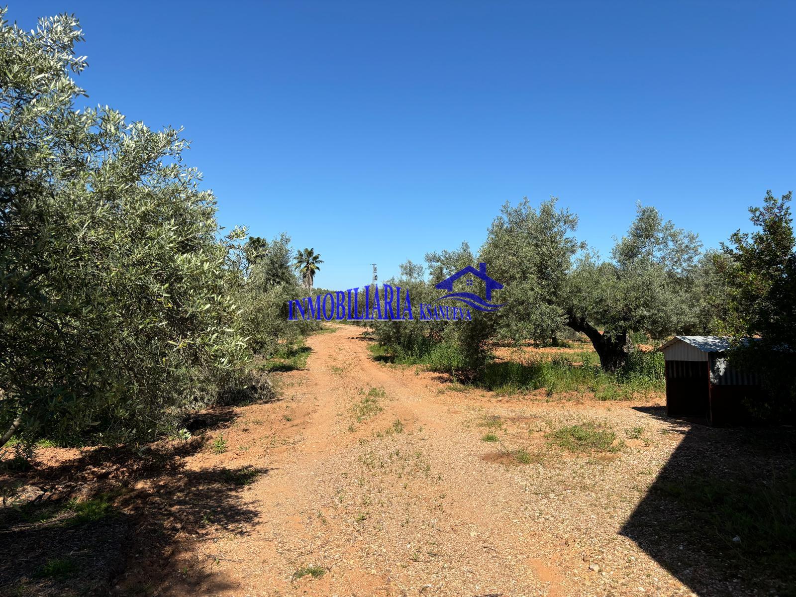 For sale of rural property in Córdoba