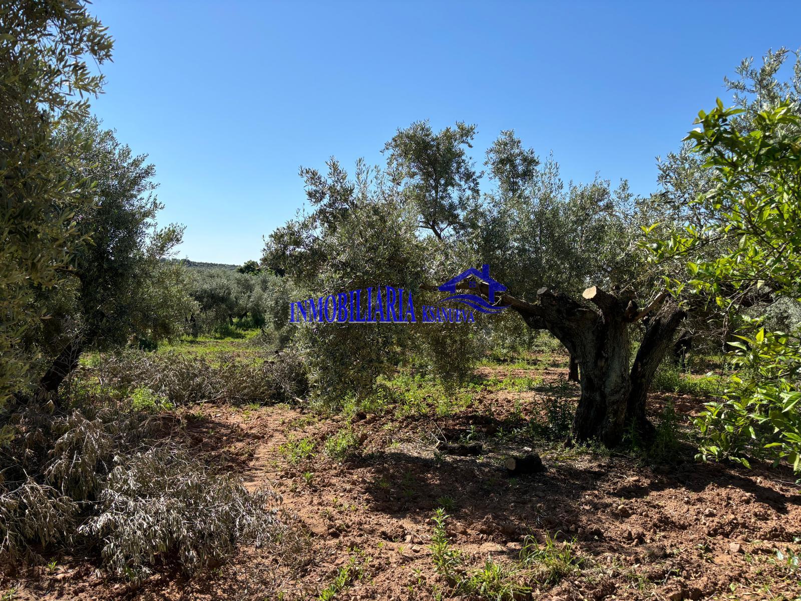 For sale of rural property in Córdoba