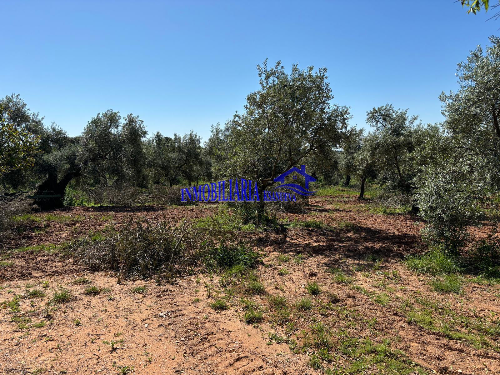 For sale of rural property in Córdoba