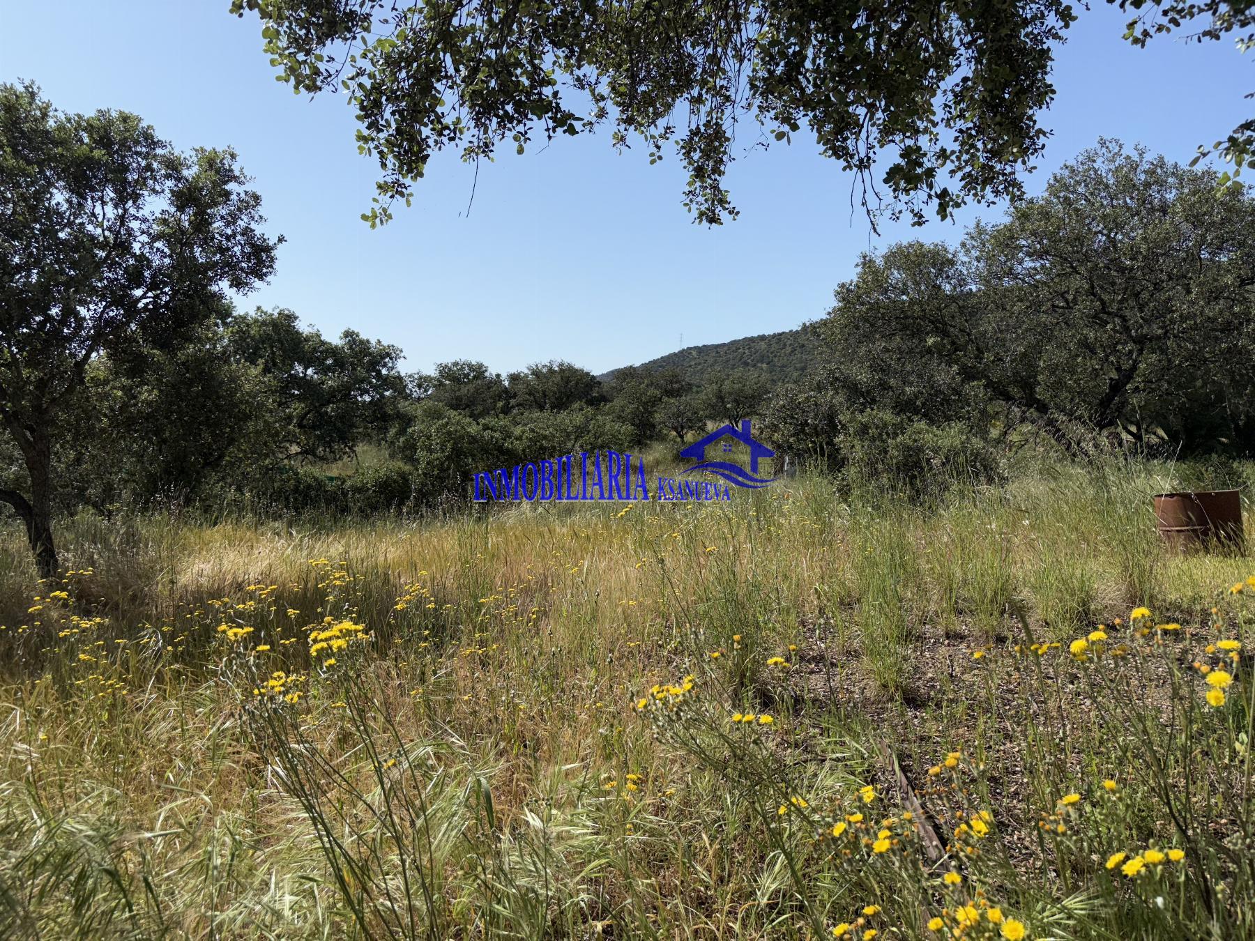 For sale of rural property in Córdoba