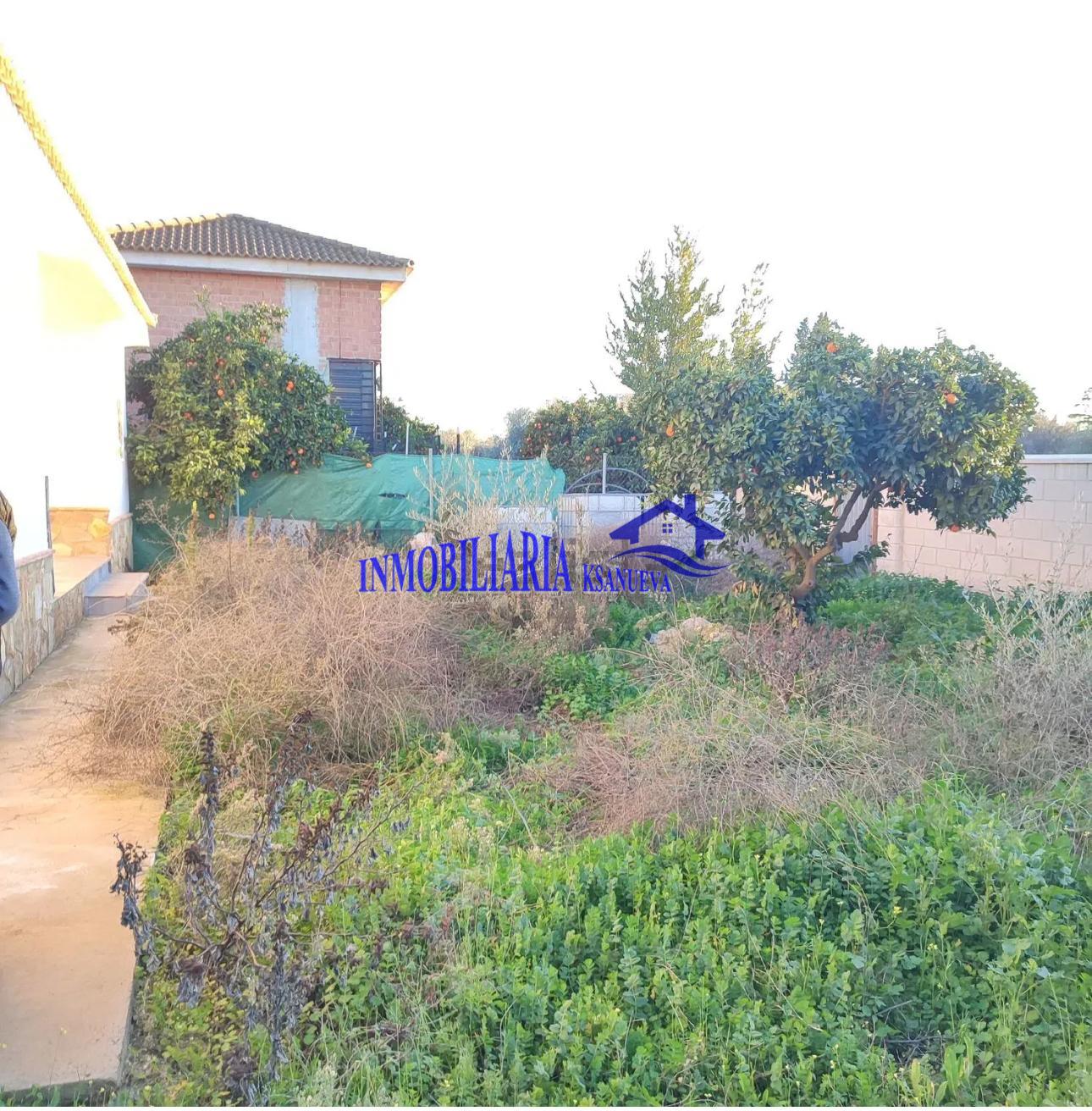 Venta de finca rústica en Córdoba Venta de finca rústica en Córdoba