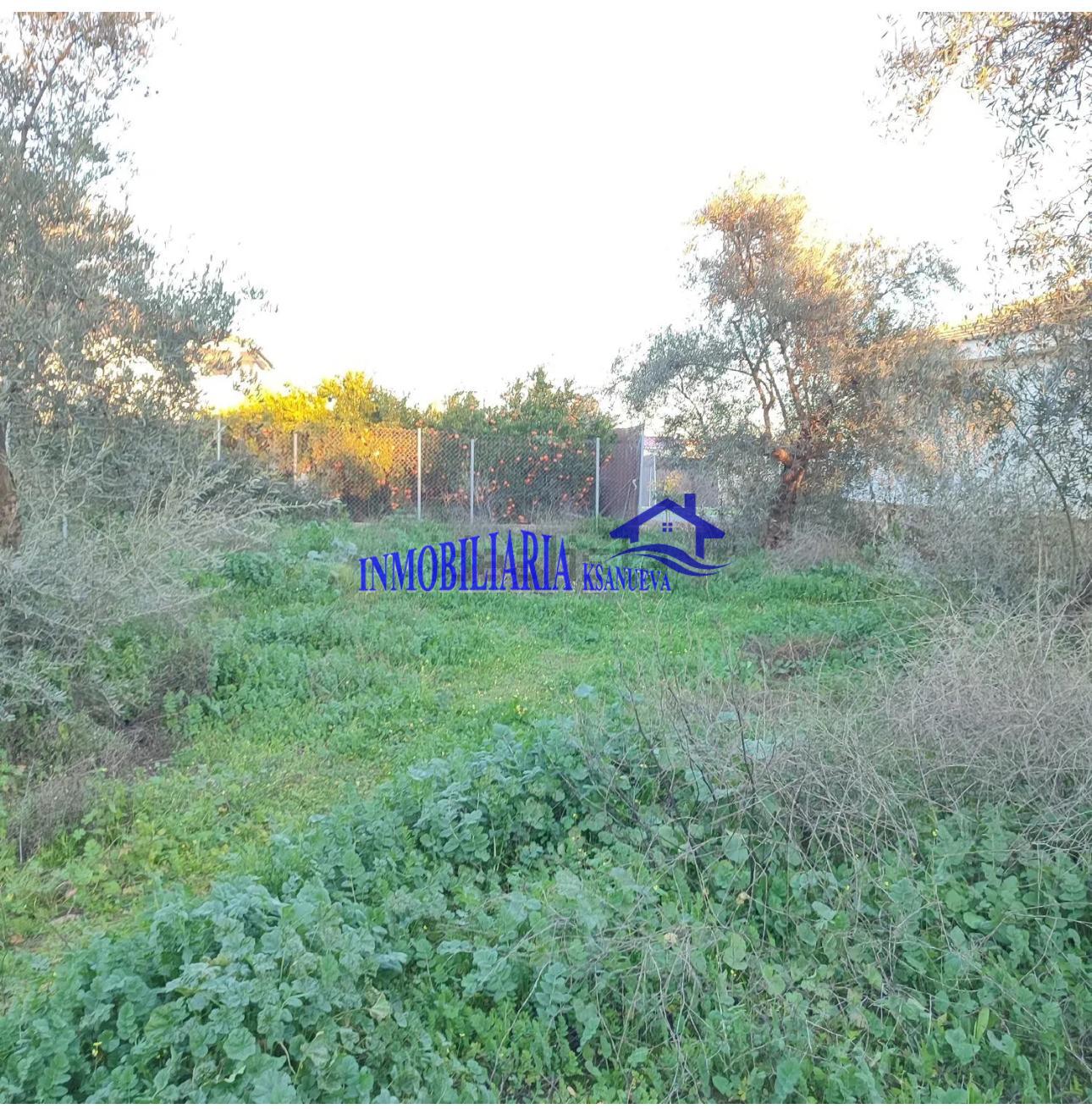 Venta de finca rústica en Córdoba Venta de finca rústica en Córdoba