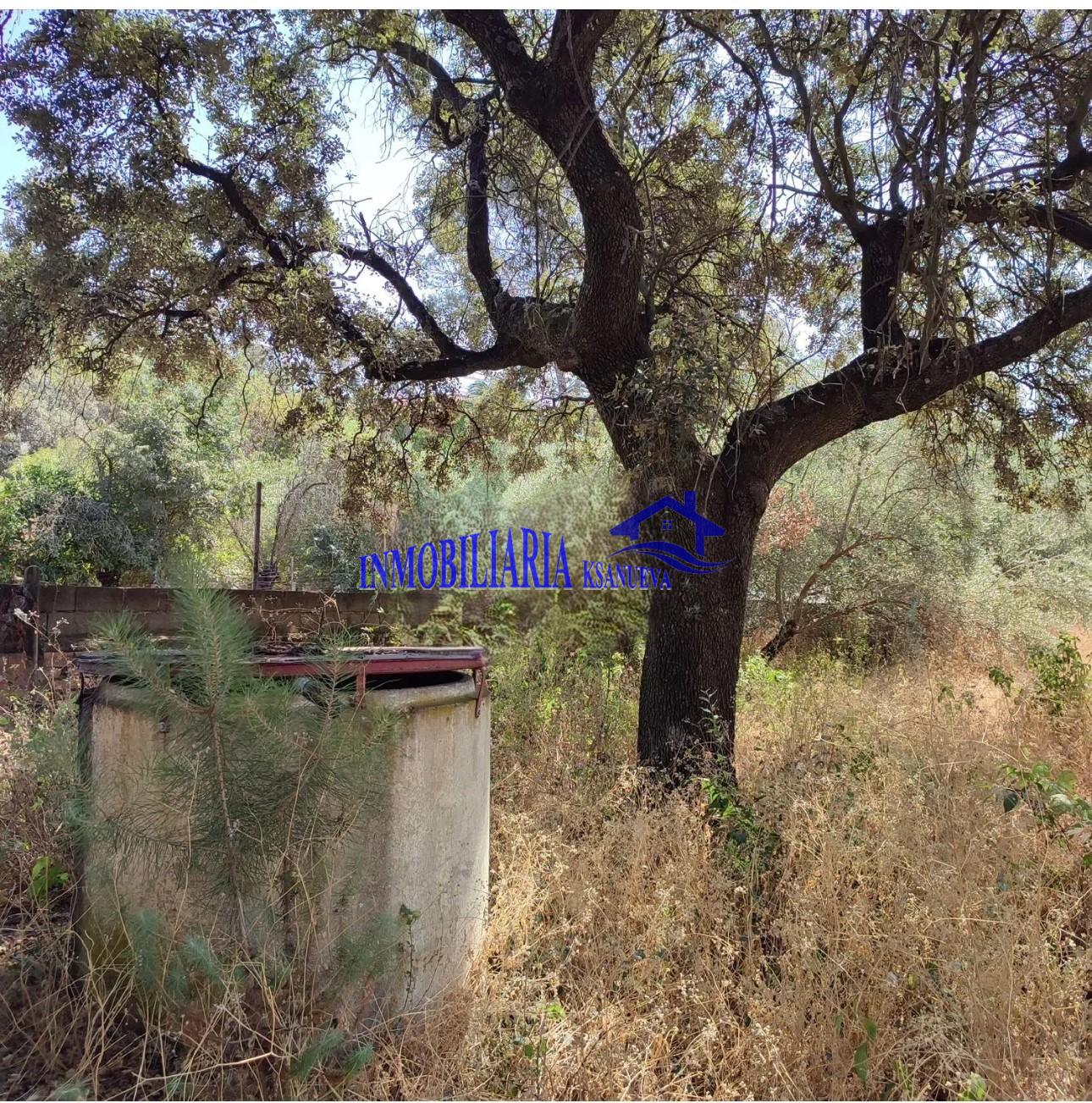 Venta de chalet en Córdoba
