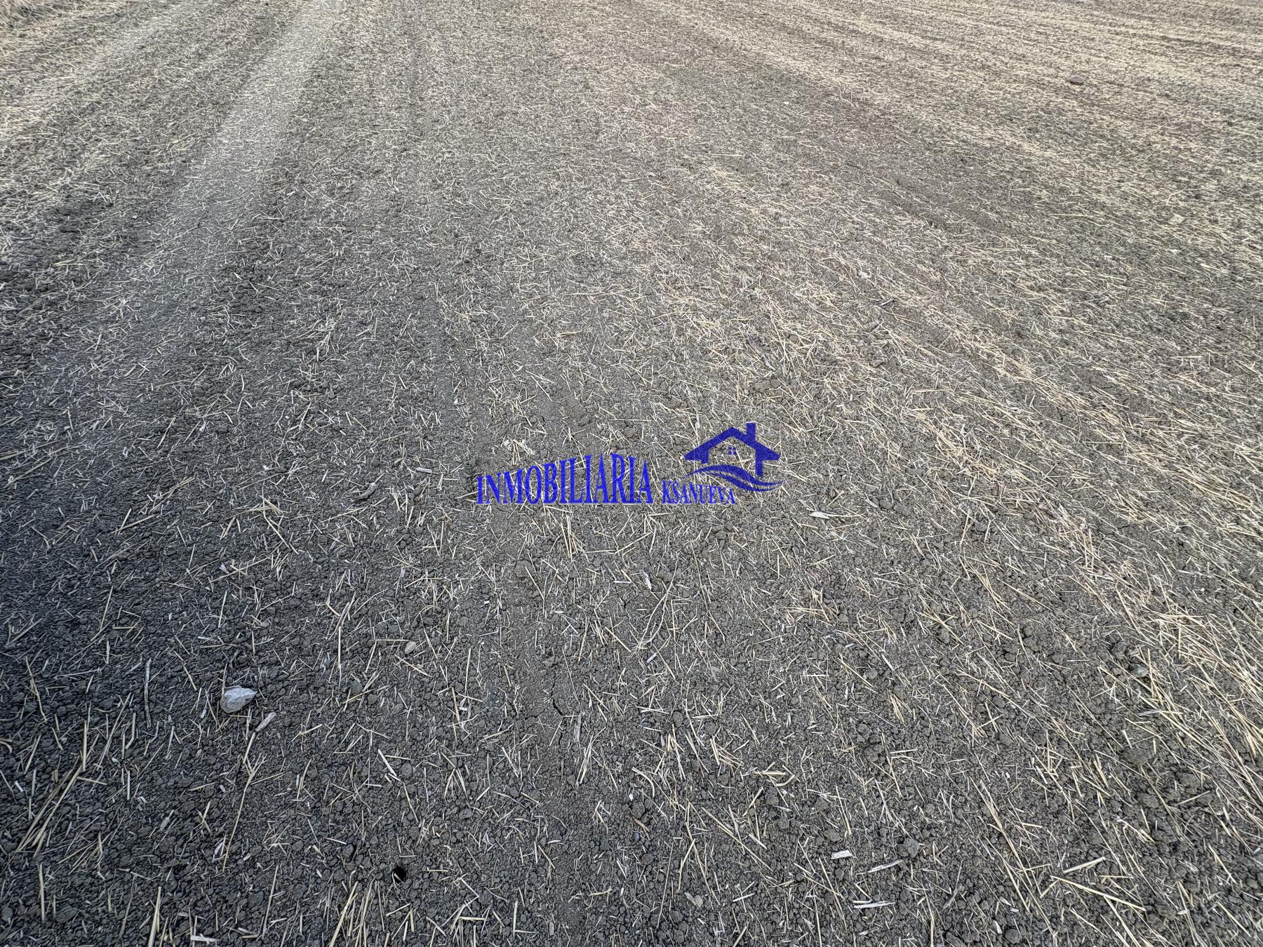 Venta de finca rústica en Córdoba Venta de finca rústica en Córdoba