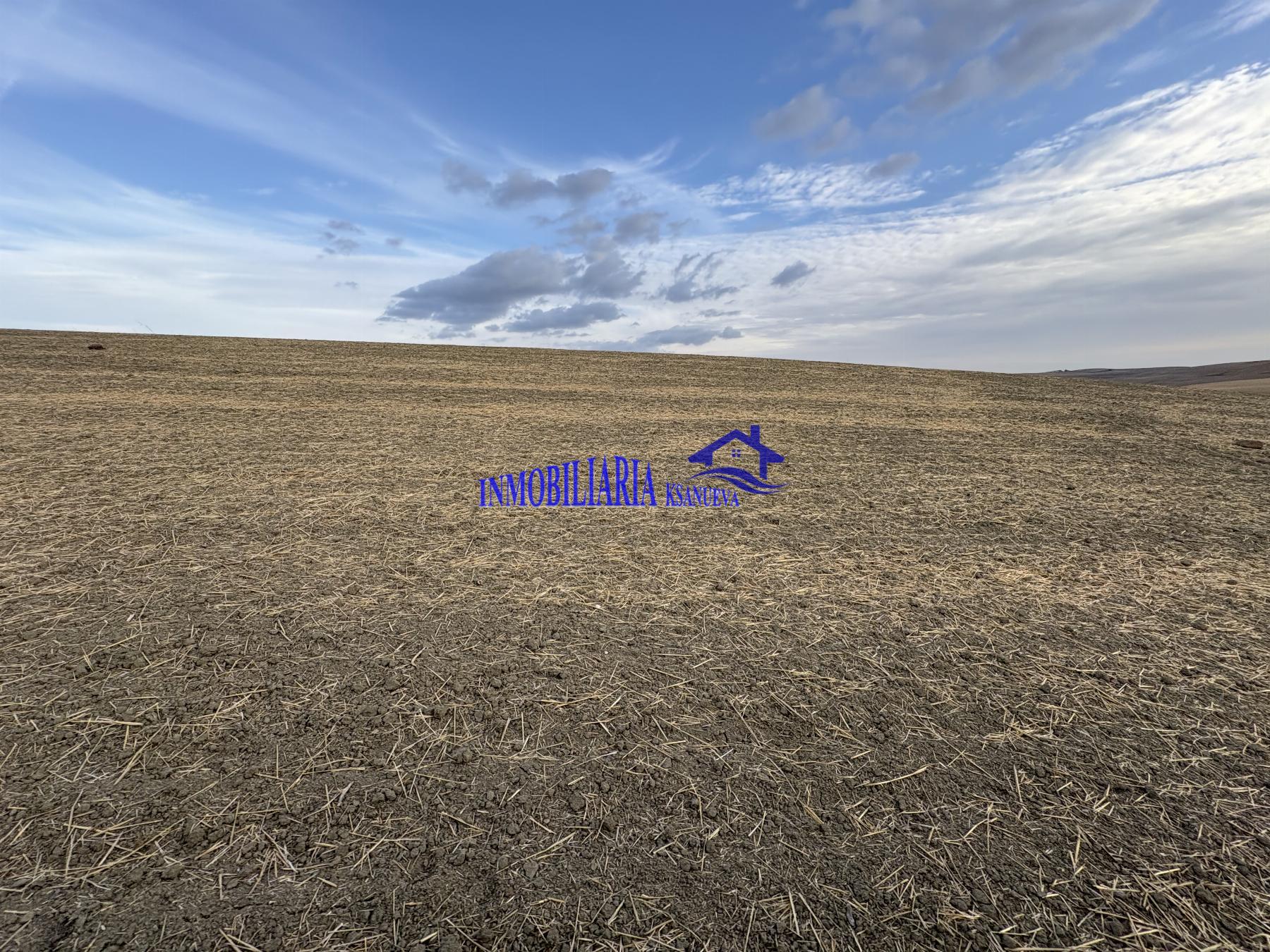 Venta de finca rústica en Córdoba Venta de finca rústica en Córdoba