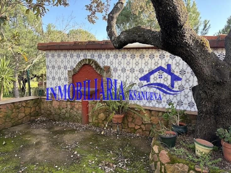 Venta de finca rústica en Córdoba