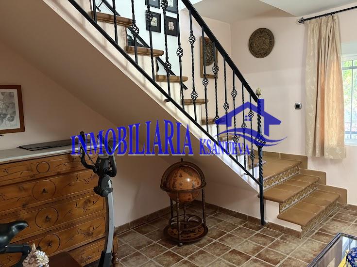 Venta de finca rústica en Córdoba