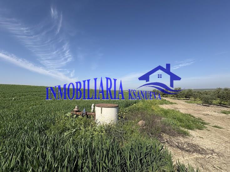 Venta de finca rústica en Córdoba