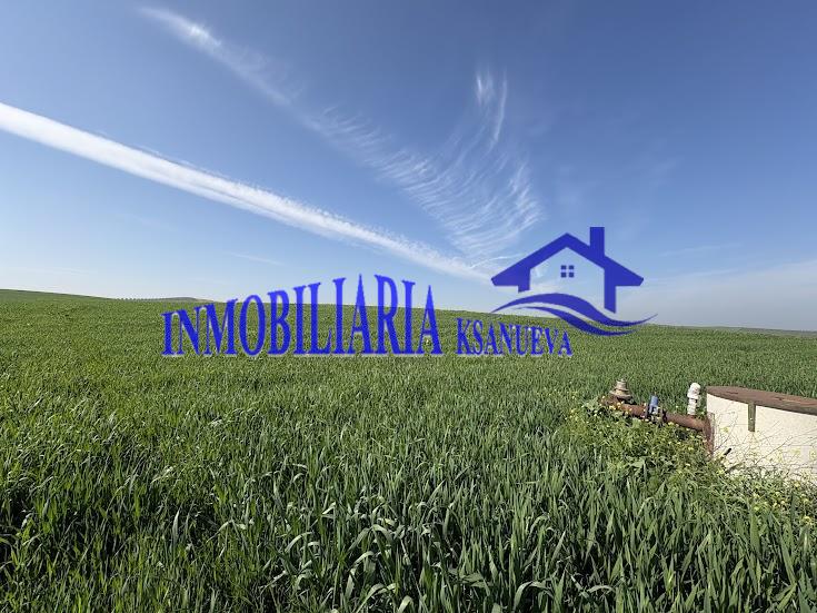 Venta de finca rústica en Córdoba