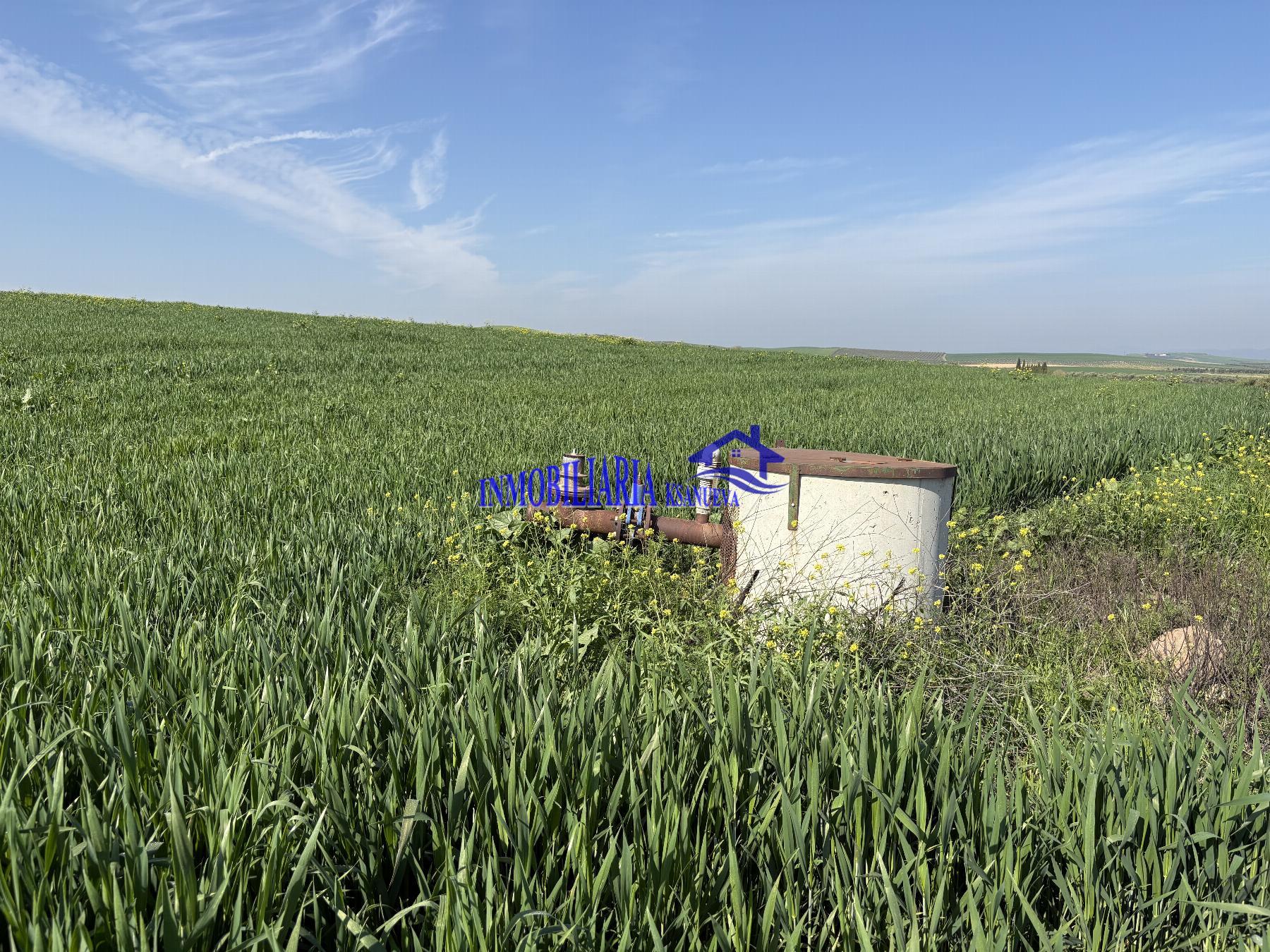 Venta de finca rústica en Córdoba