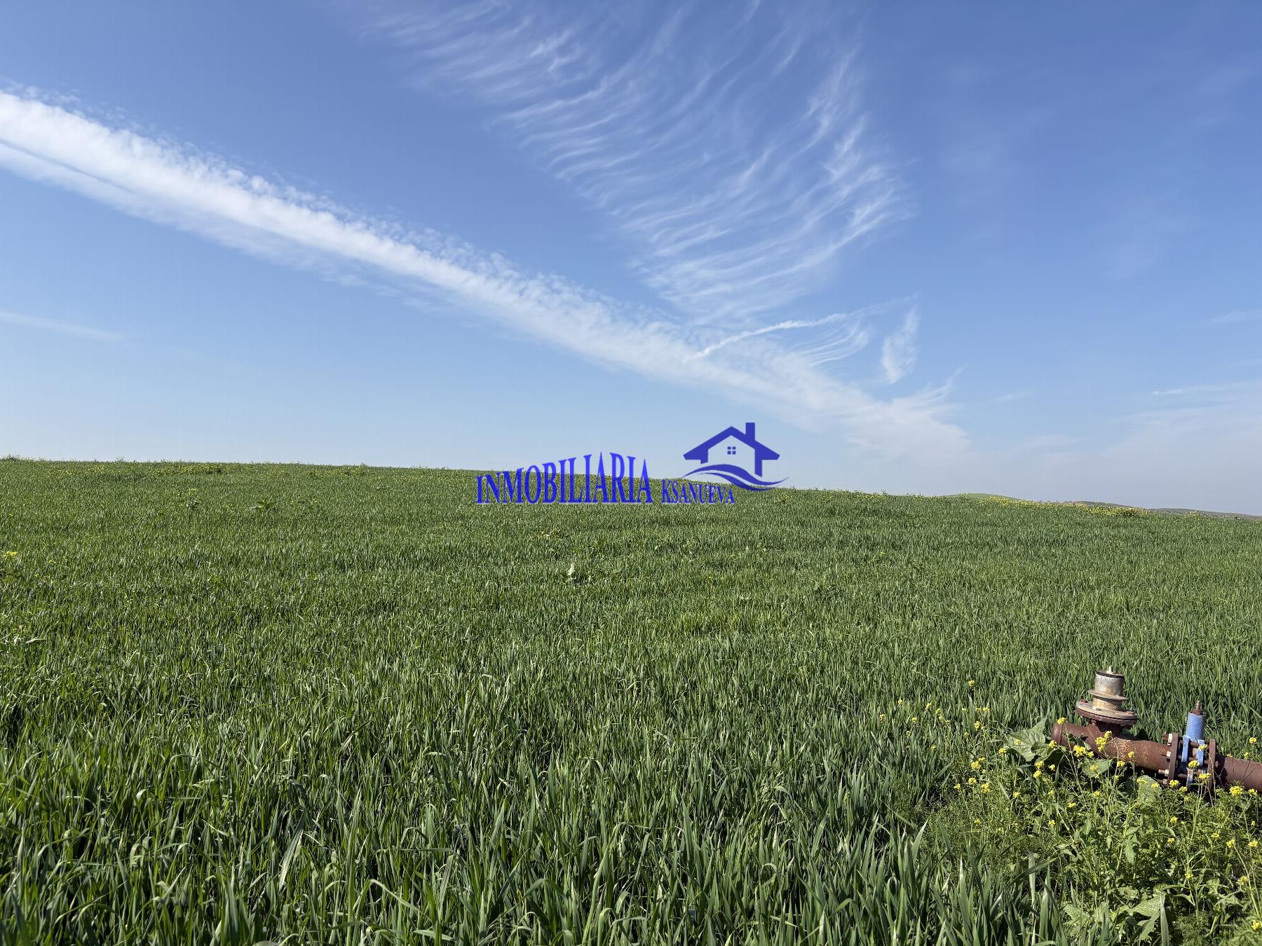 Venta de finca rústica en Córdoba