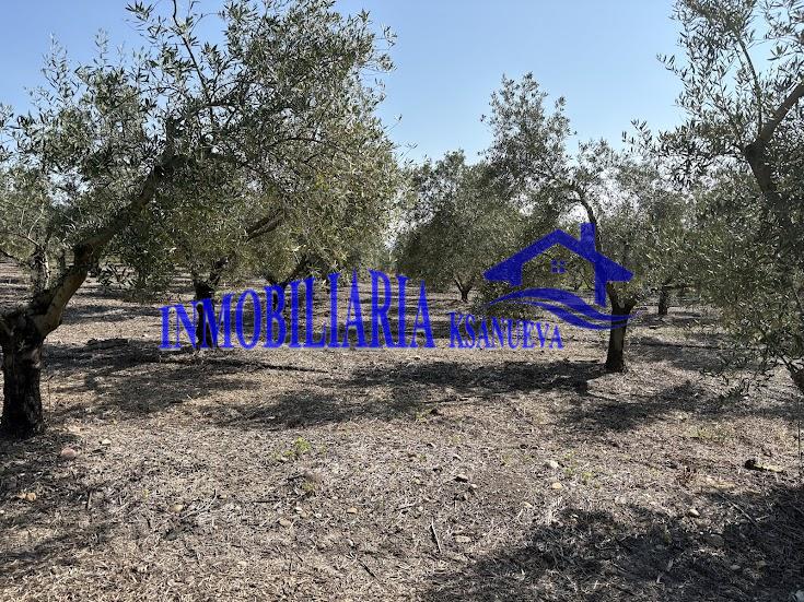 Venta de finca rústica en Córdoba