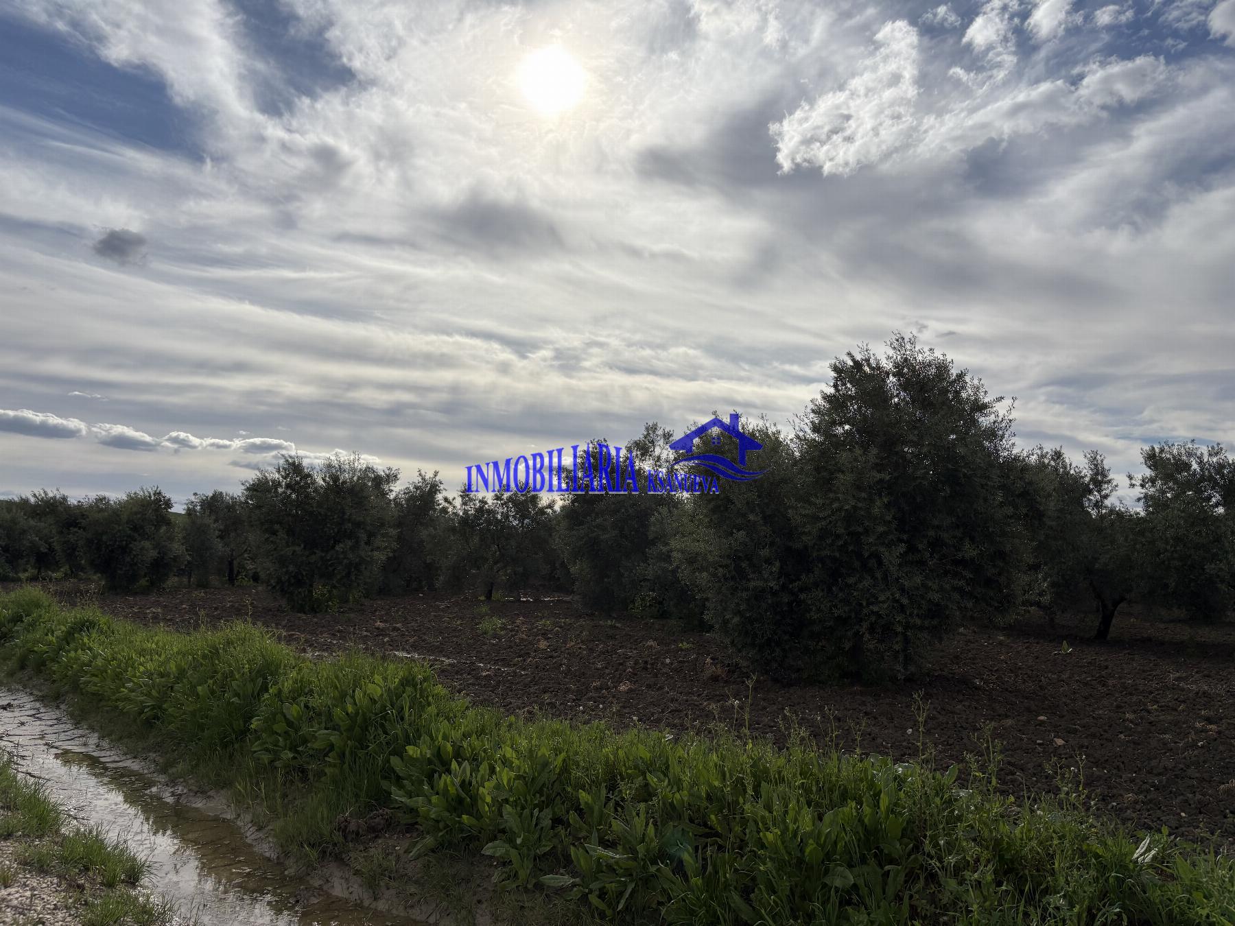 Venta de finca rústica en Córdoba