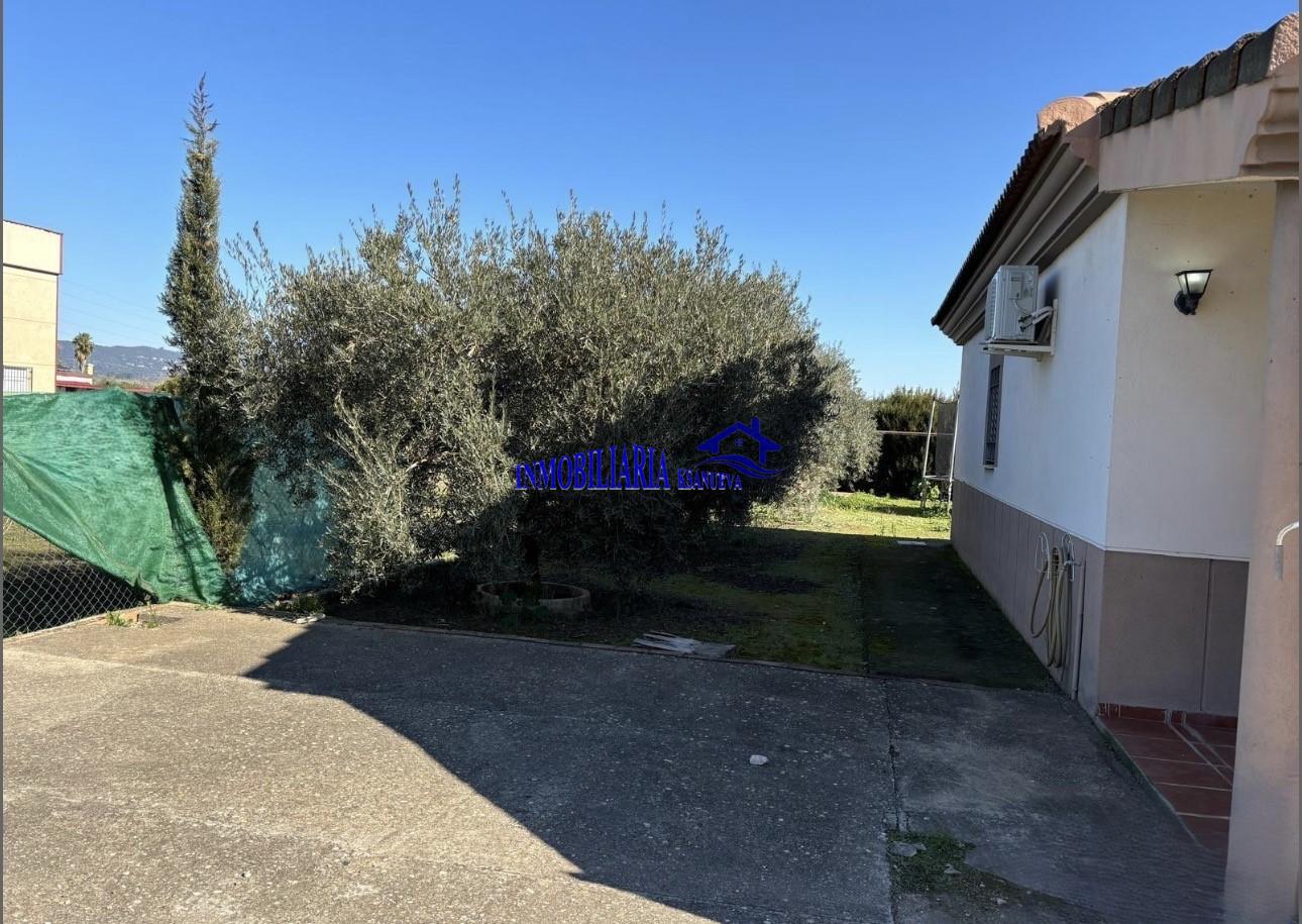Venta de finca rústica en Córdoba