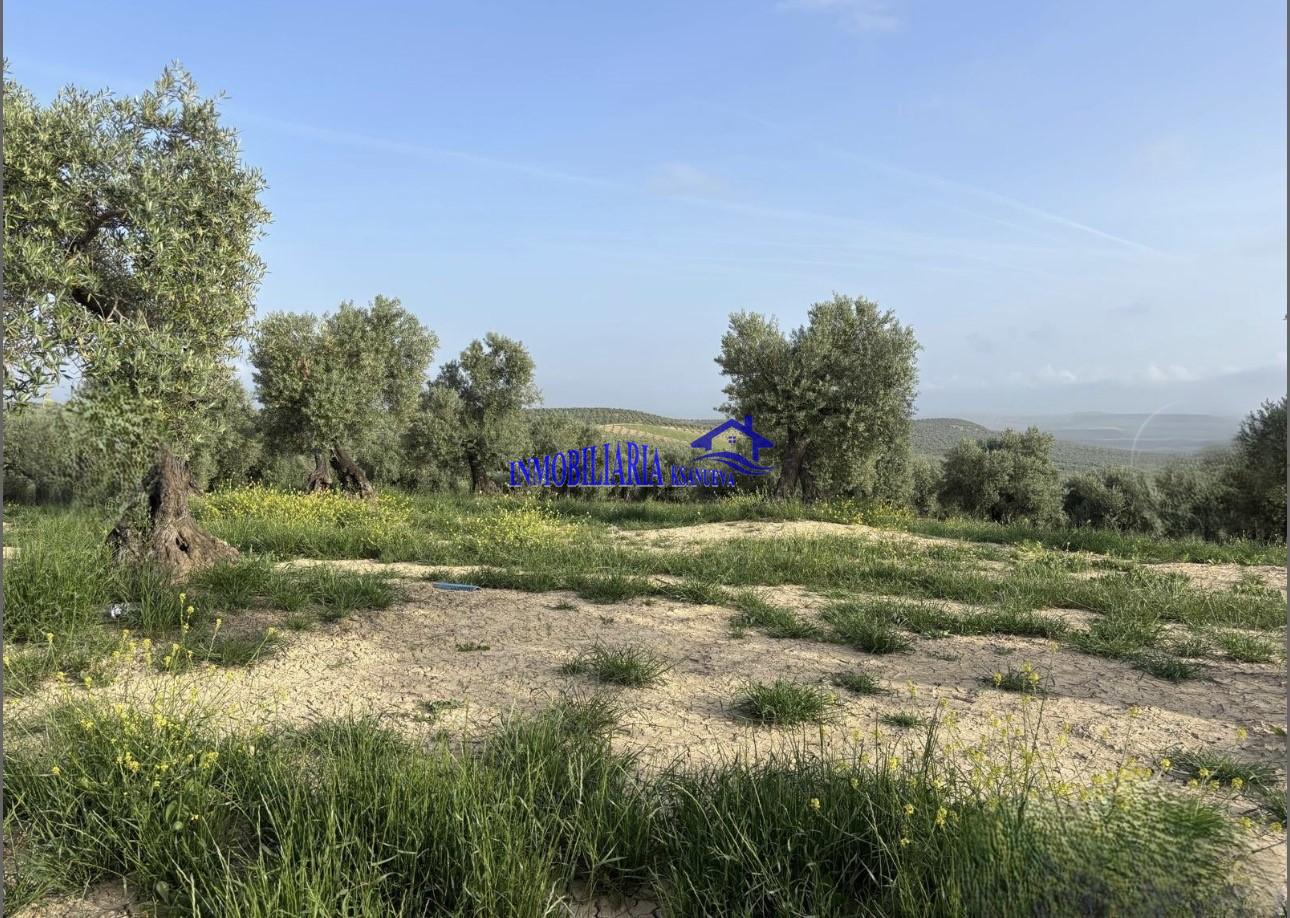 Venta de finca rústica en Córdoba